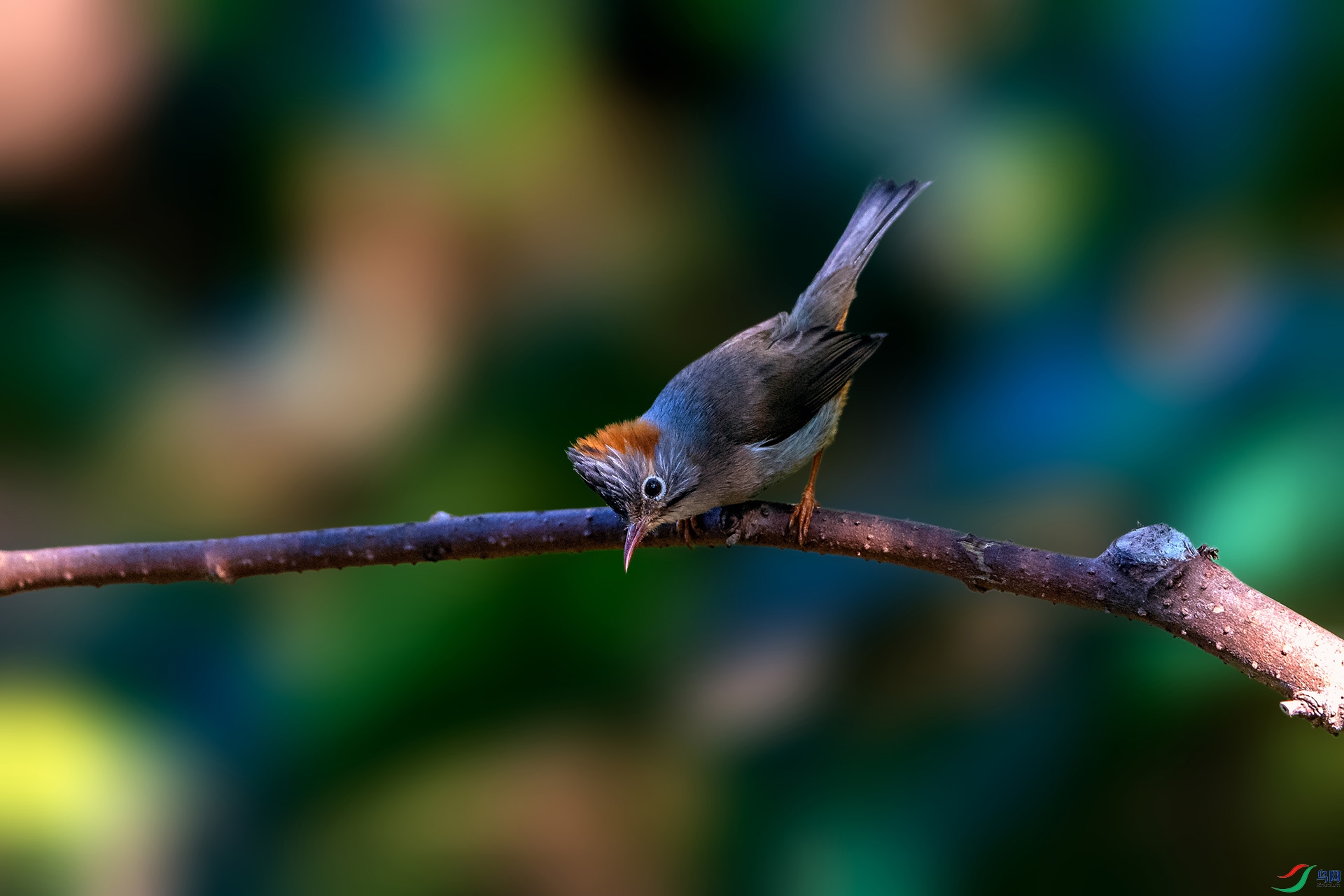 _AUU4120���η���(24.2.17).jpg