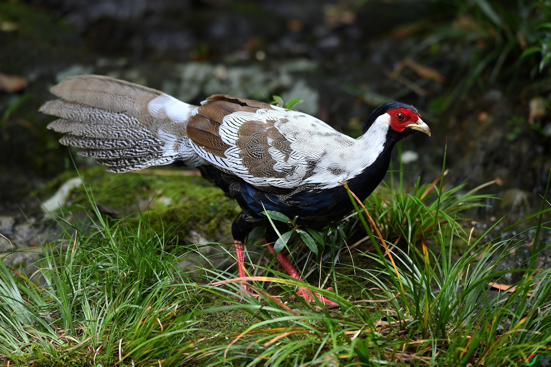 DSC_3773.jpg