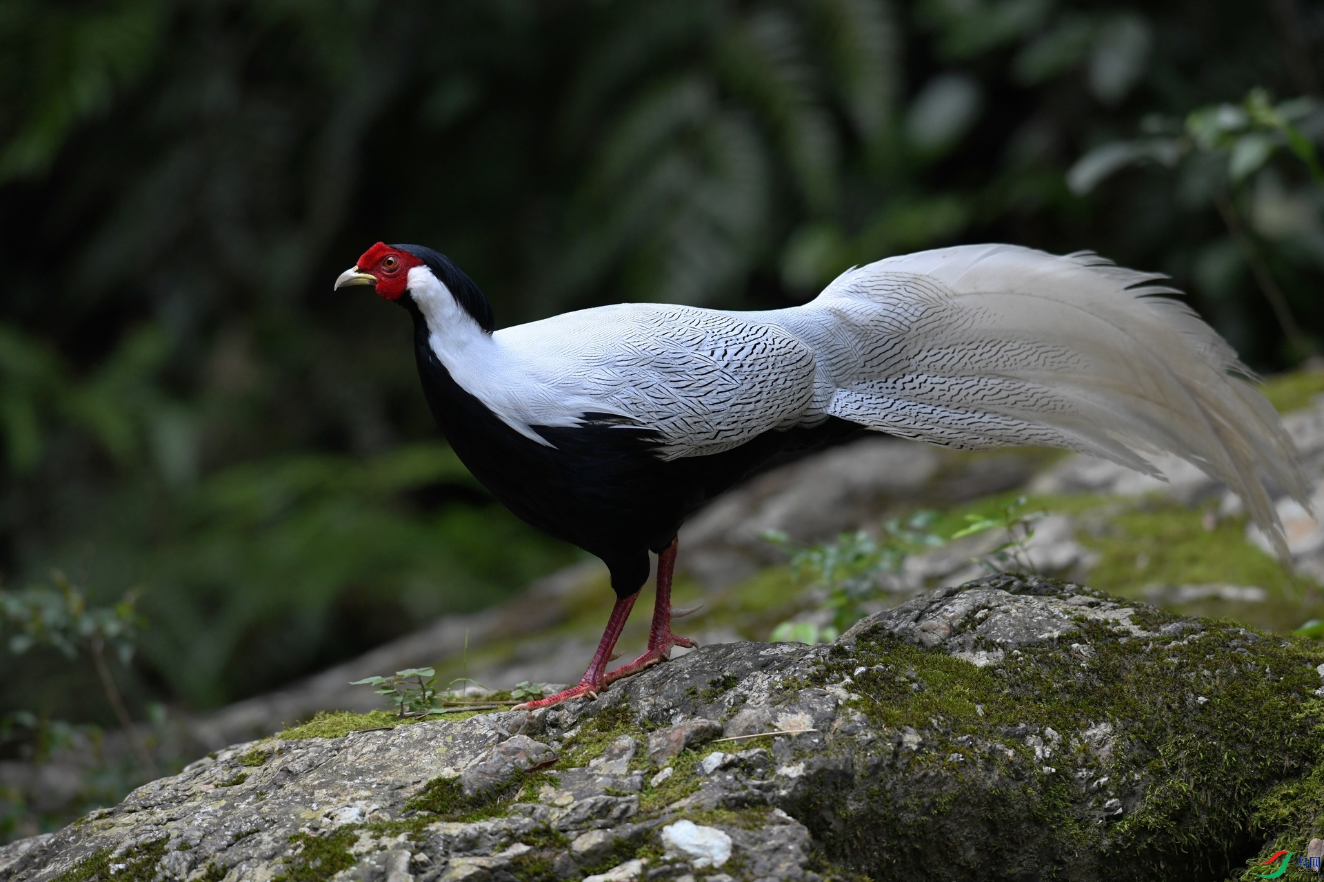 DSC_3911.jpg