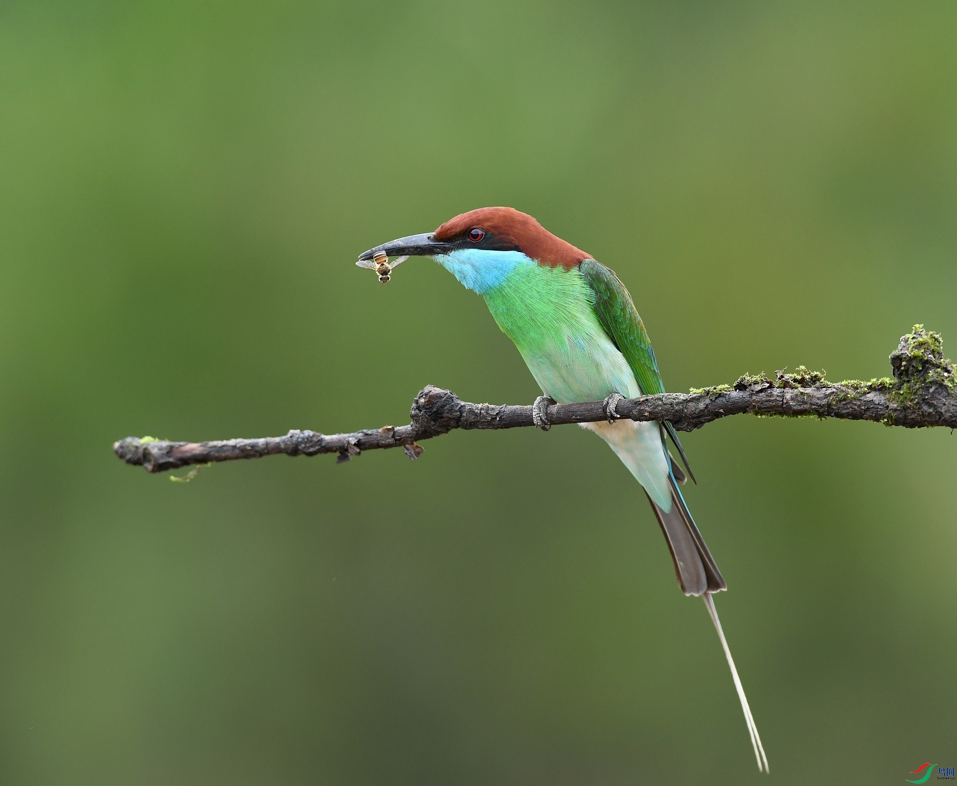 DSC_3977.jpg