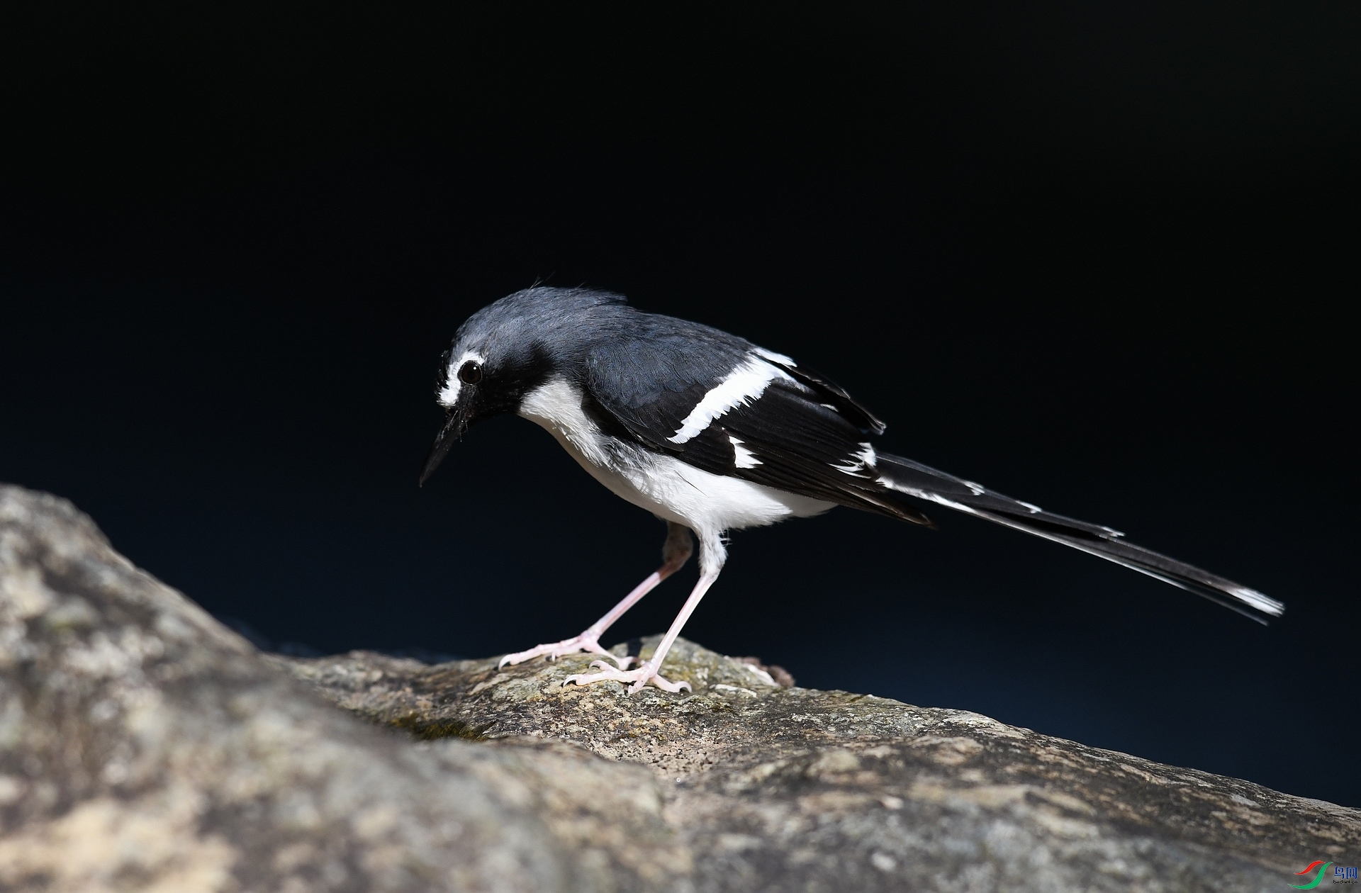 DSC_6728.jpg