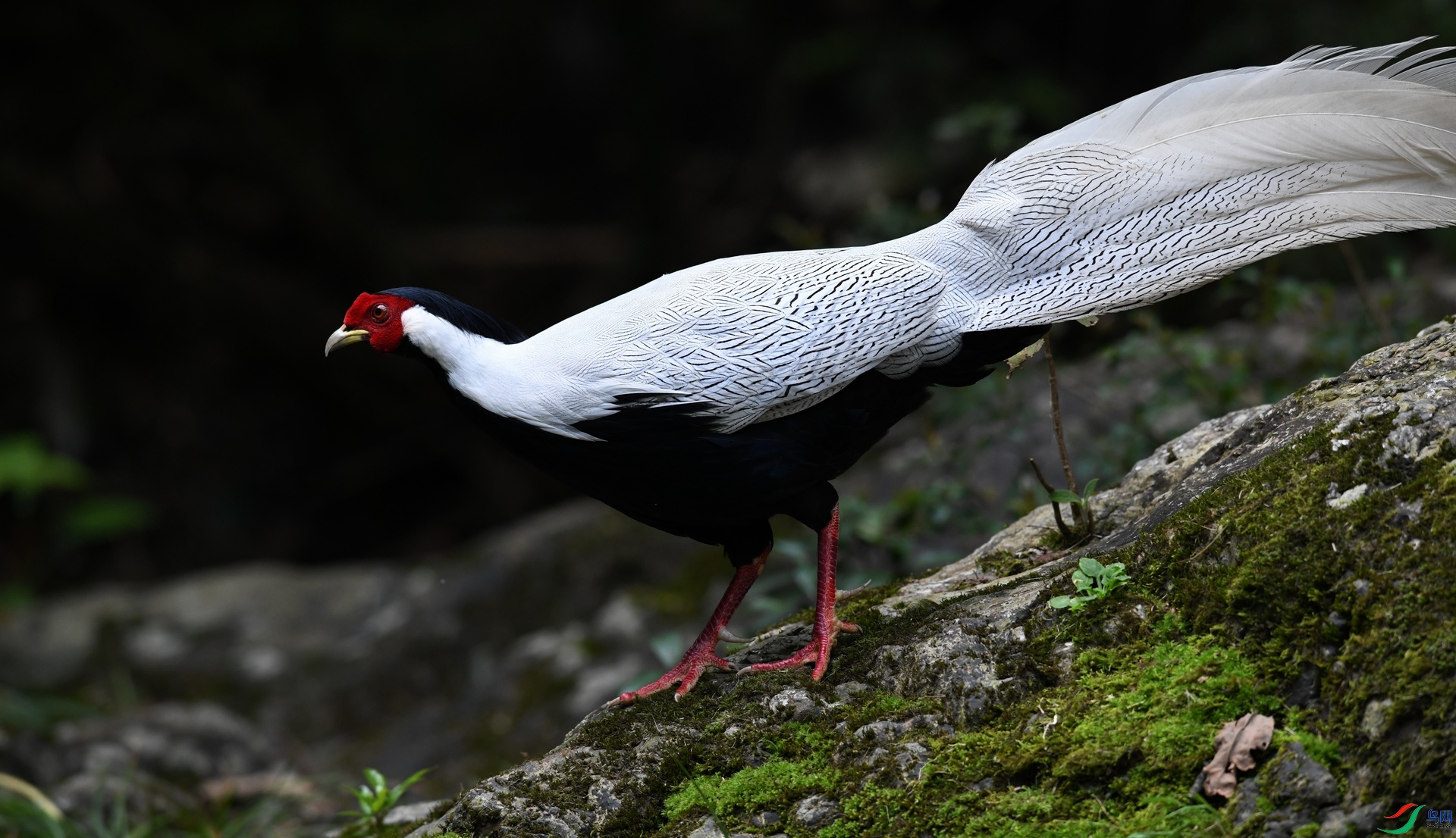 DSC_3918.jpg