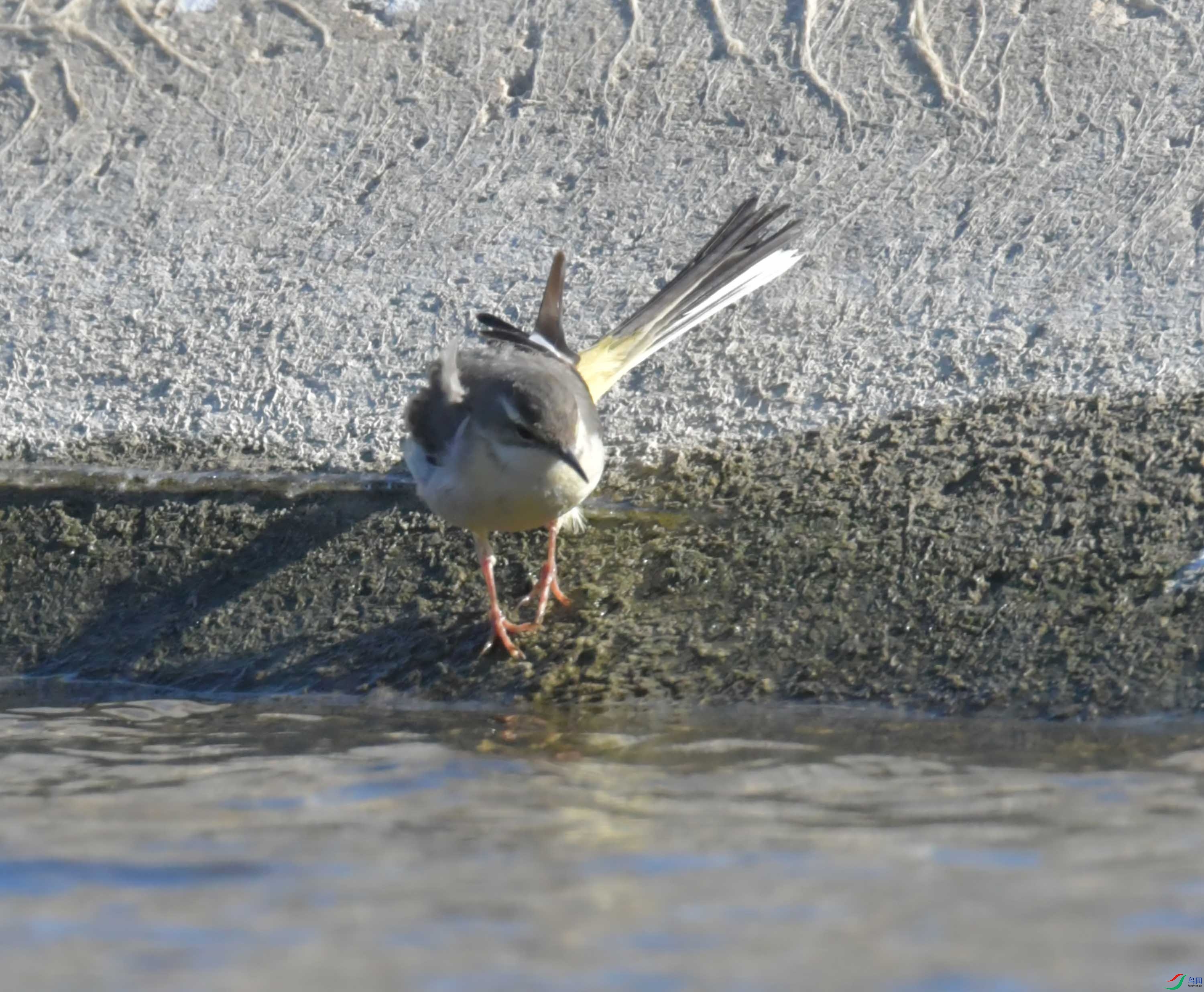 DSC_0692.JPG
