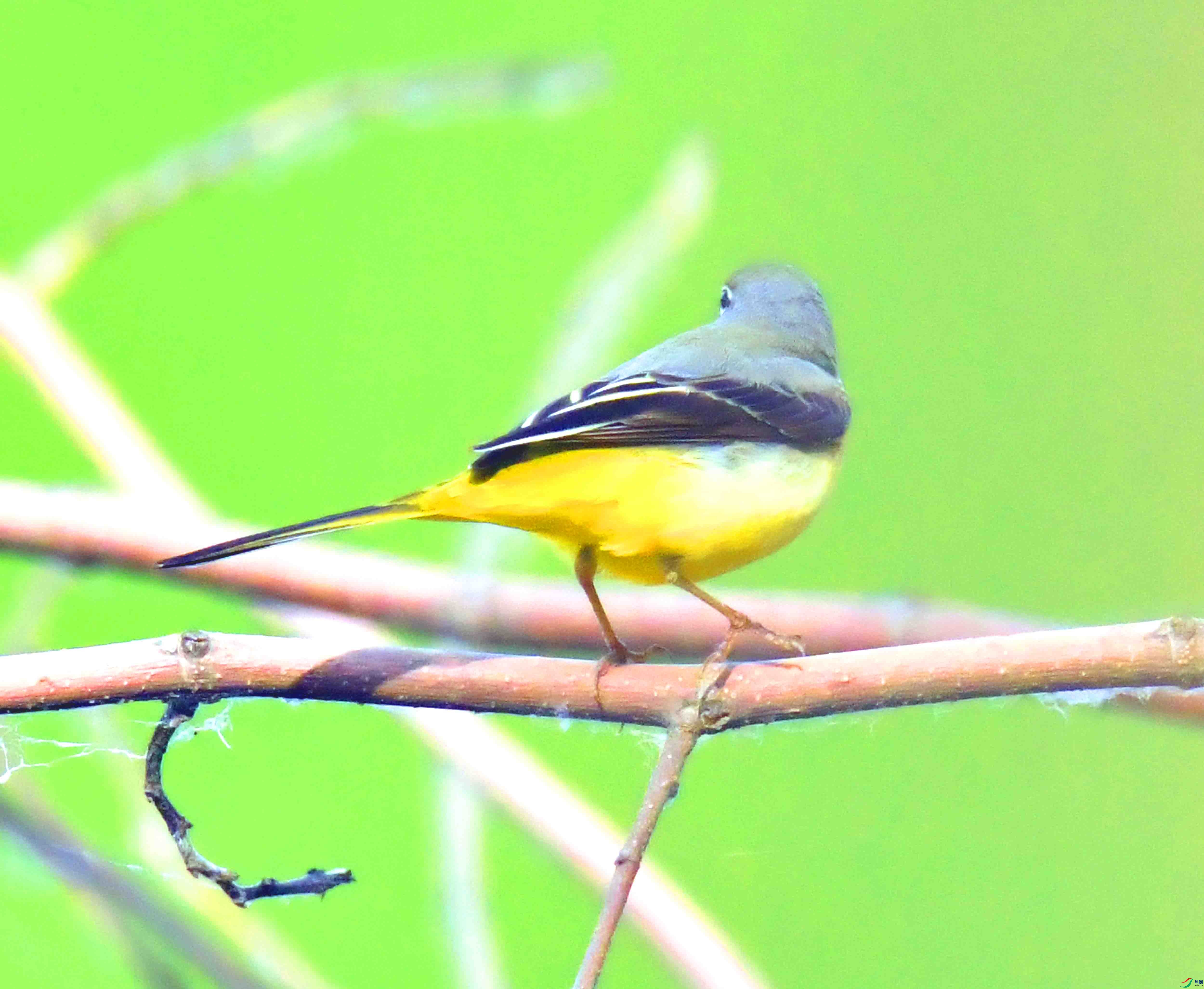 DSC_3903.JPG