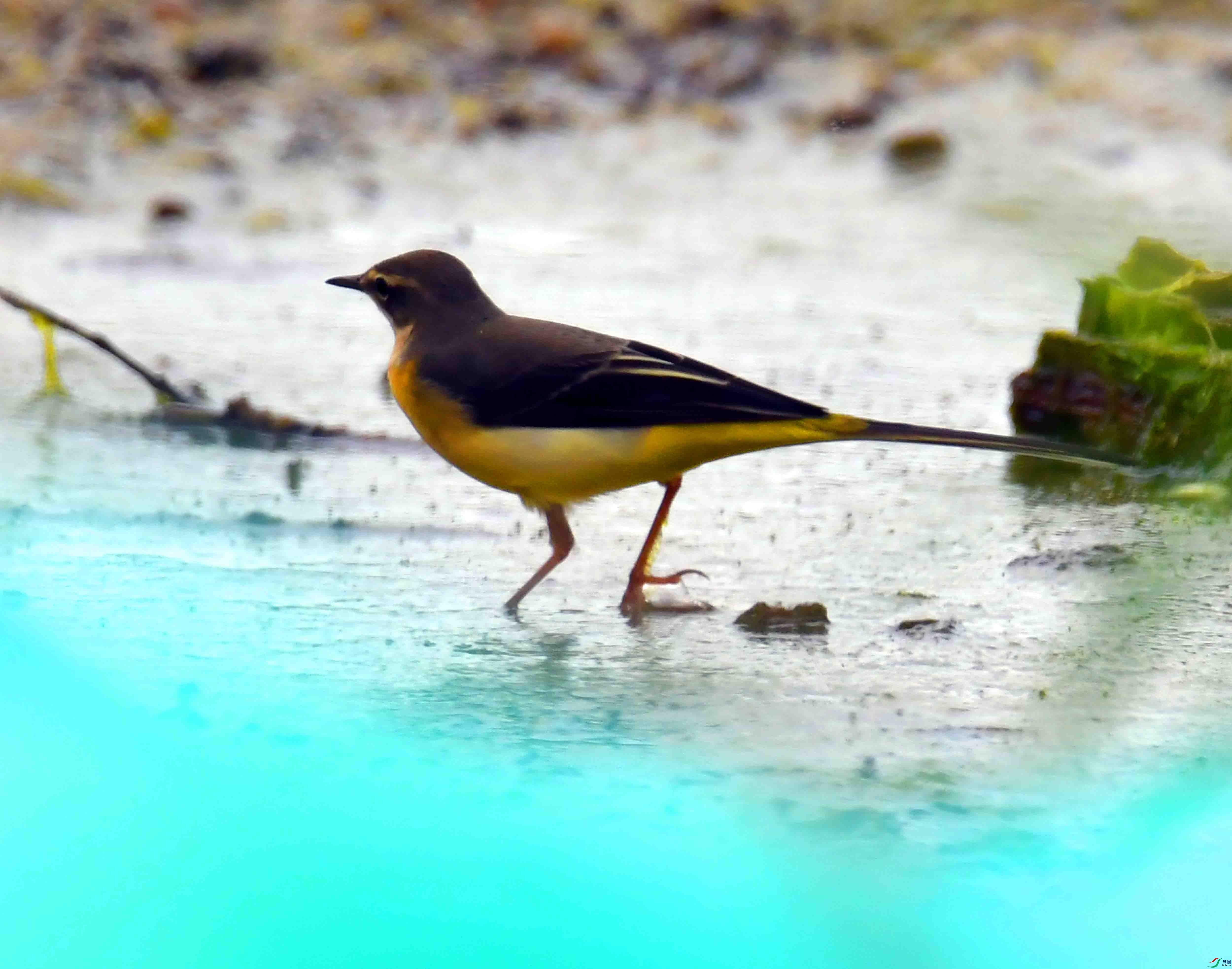 DSC_5259.JPG