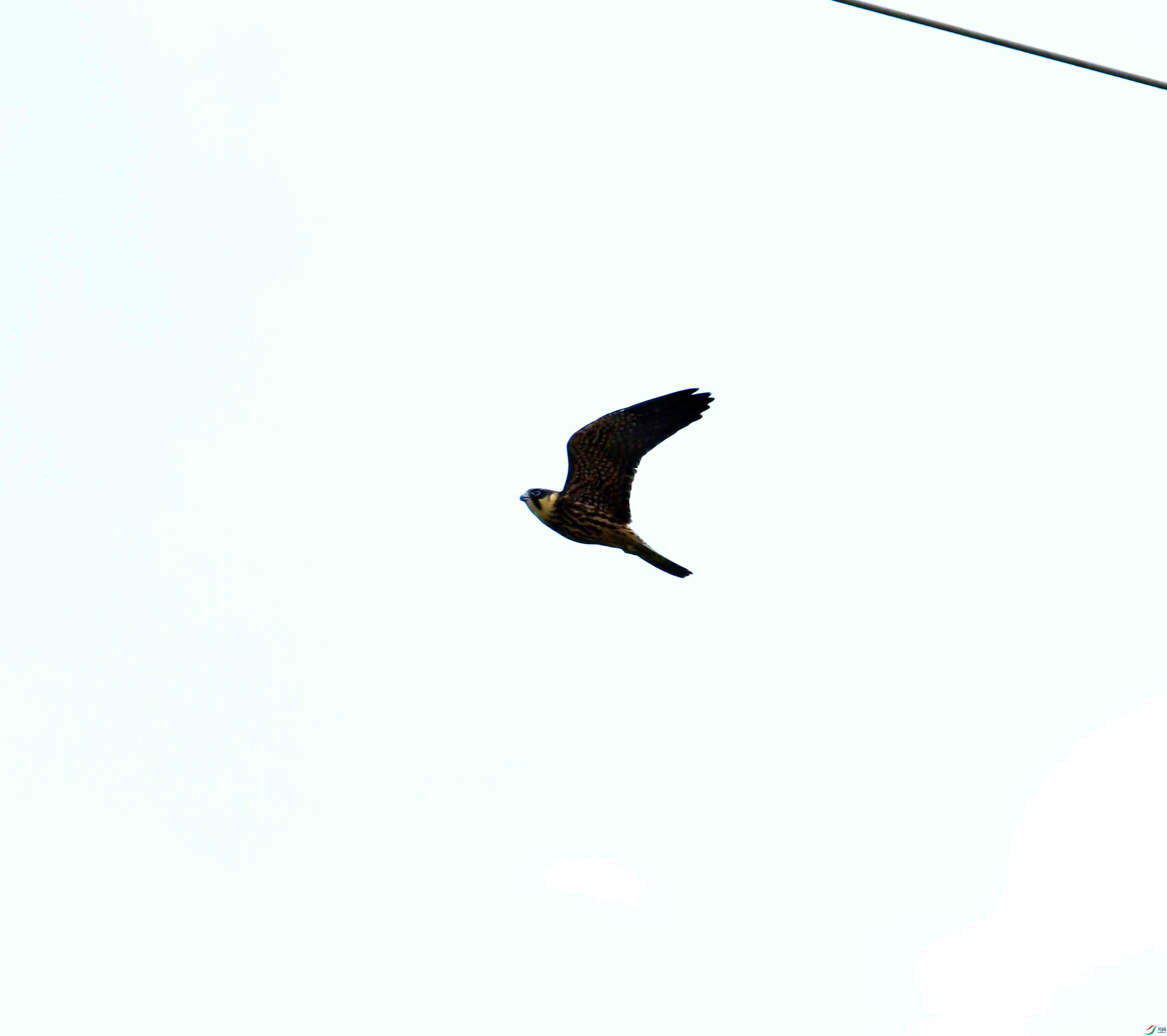 DSC_4809.JPG