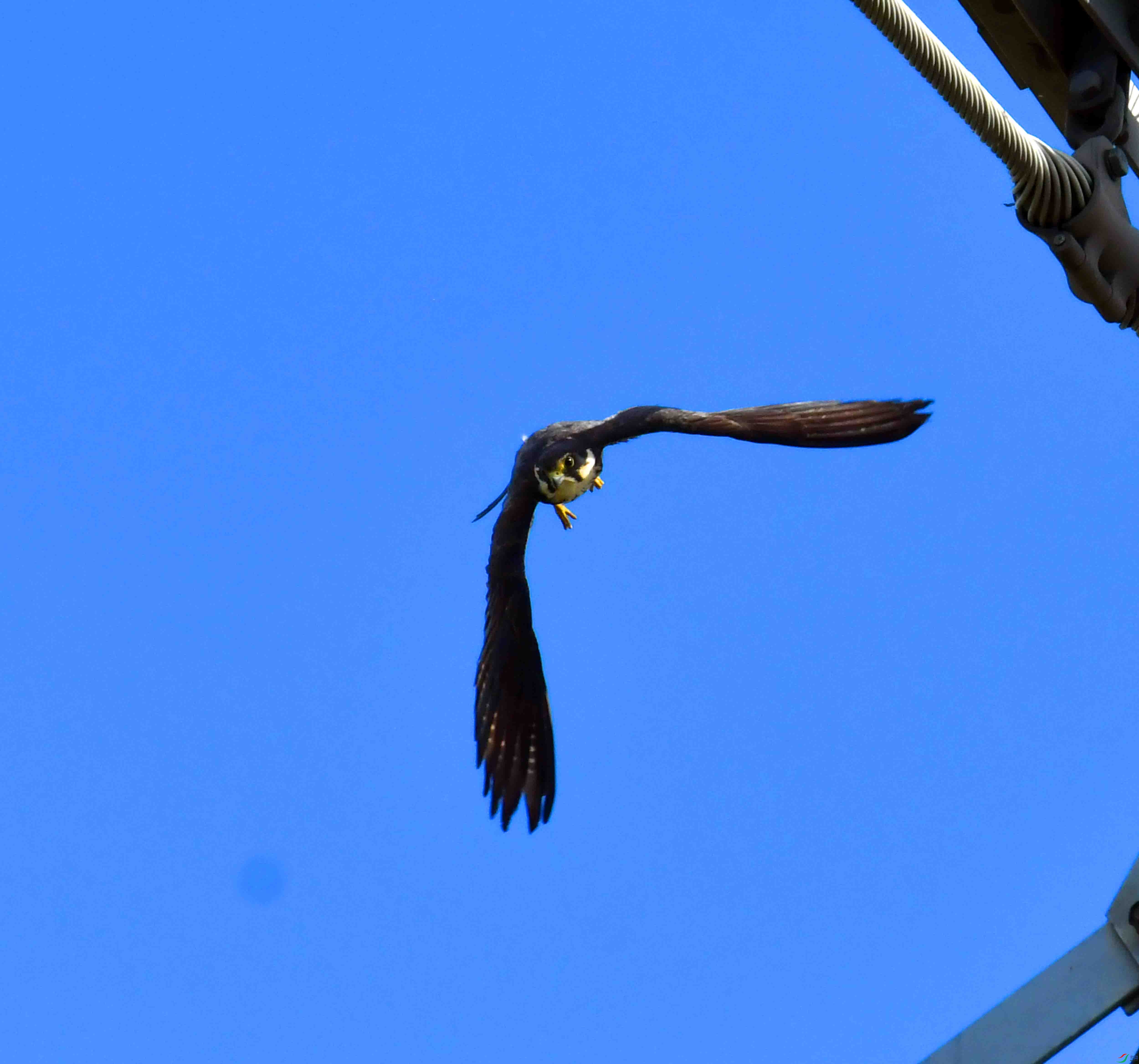 DSC_4953.JPG
