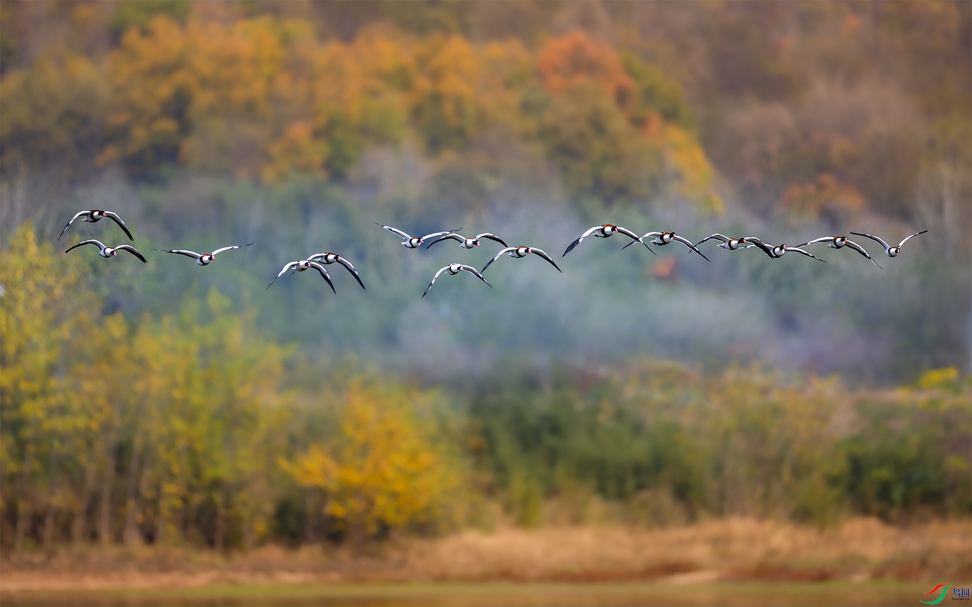����083A7629.jpg