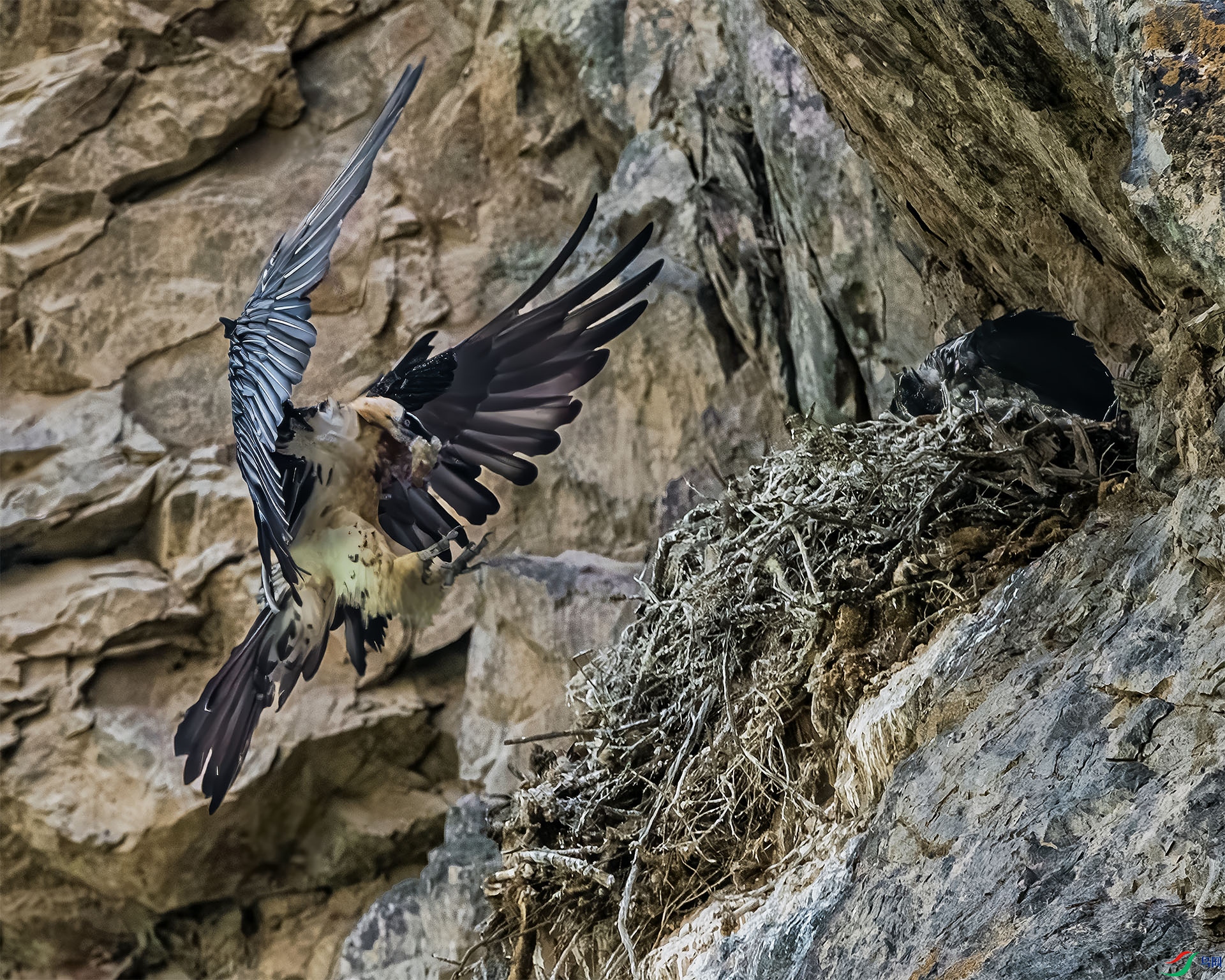 ��أ������