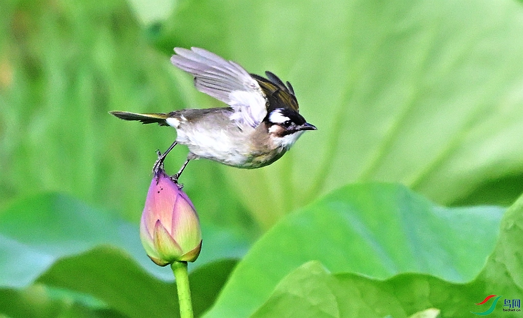 DSC_8443.JPG