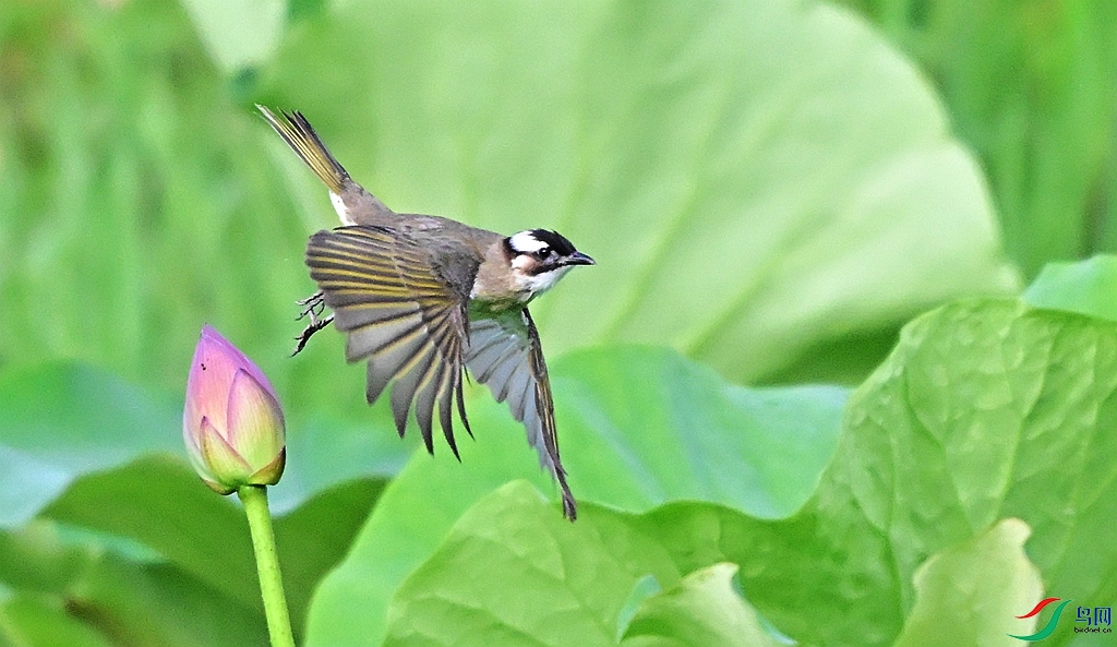 DSC_8444.JPG