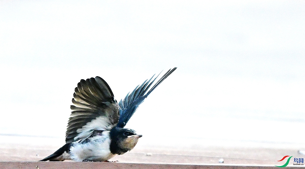DSC_8567.JPG