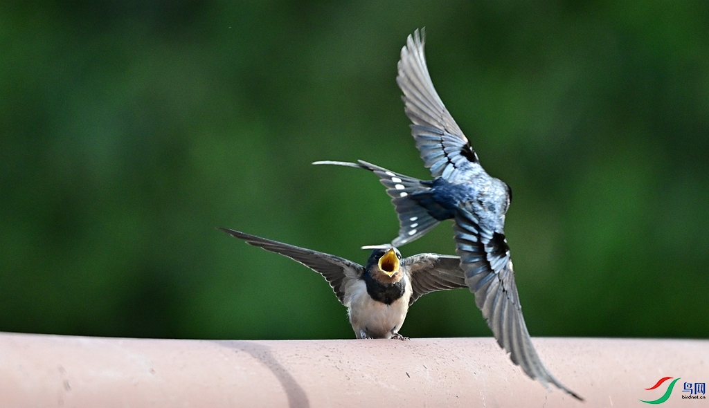 DSC_8591.JPG
