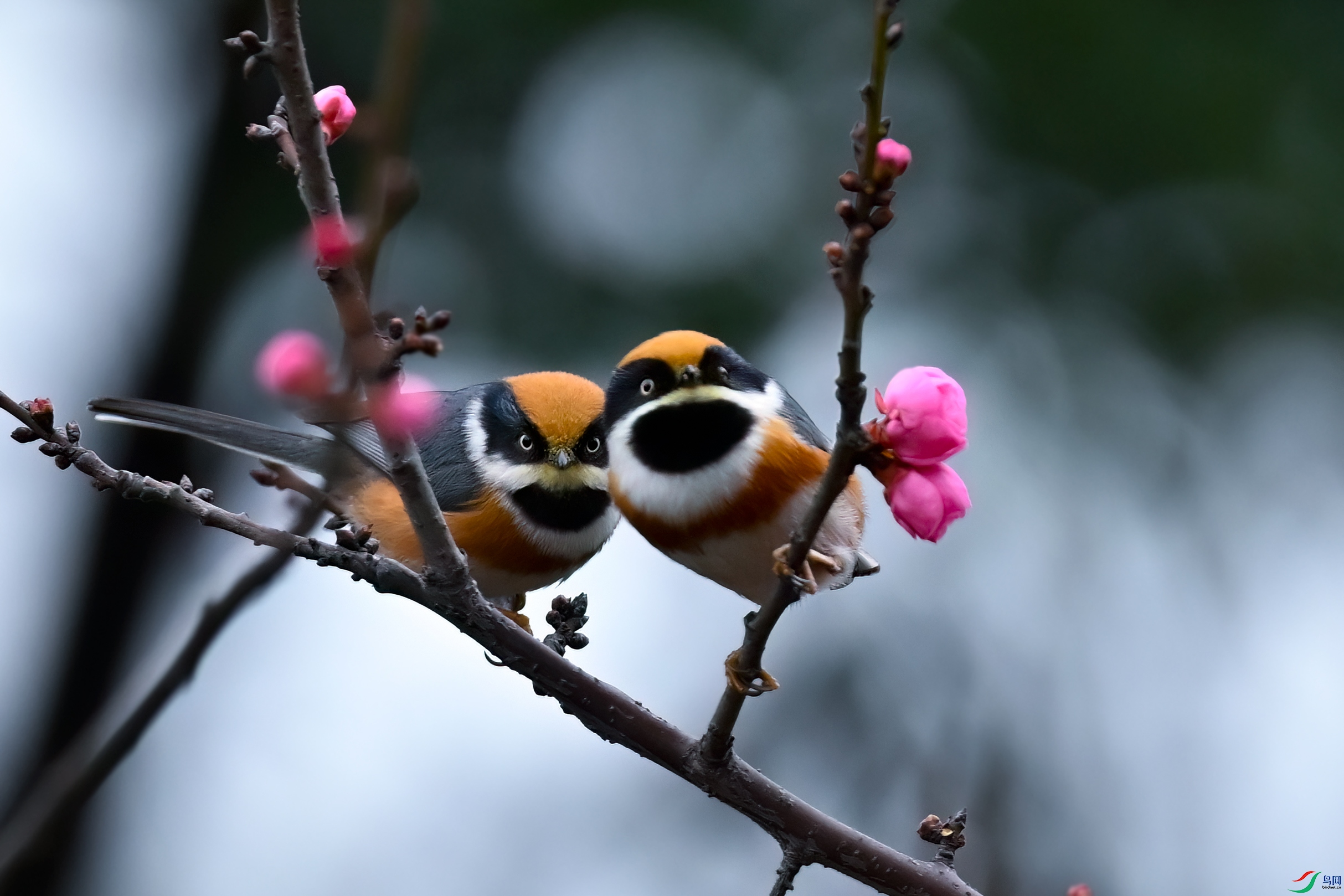 _DSC3983x.jpg