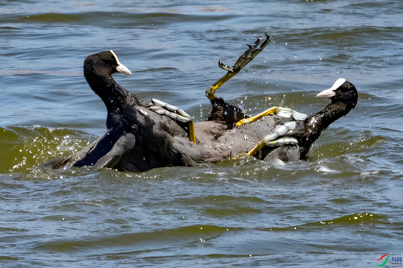DSC_5853==.jpg