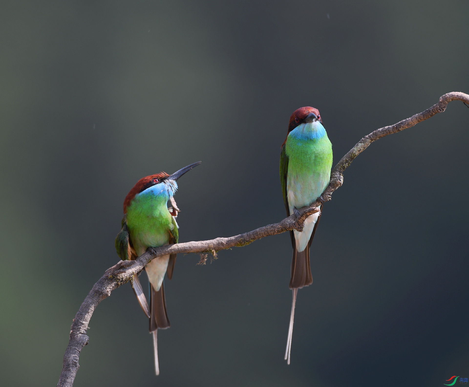 DSC_2567.jpg