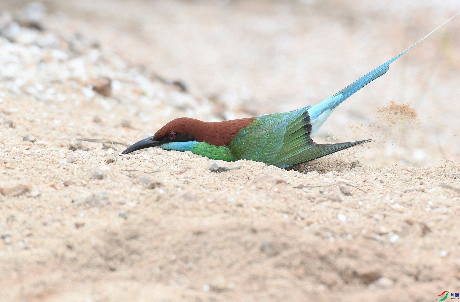 DSC_1774.jpg
