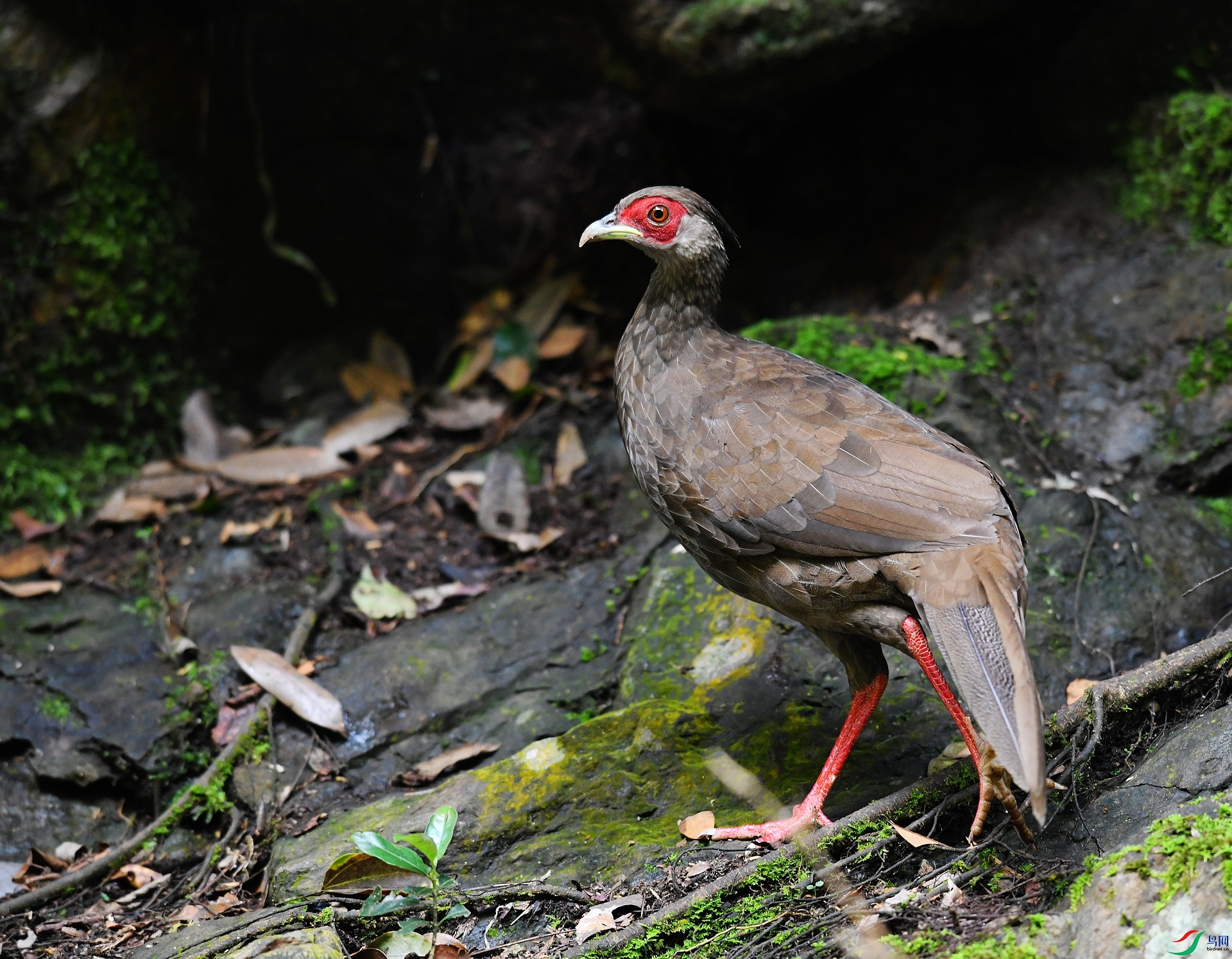 DSC_3995.jpg