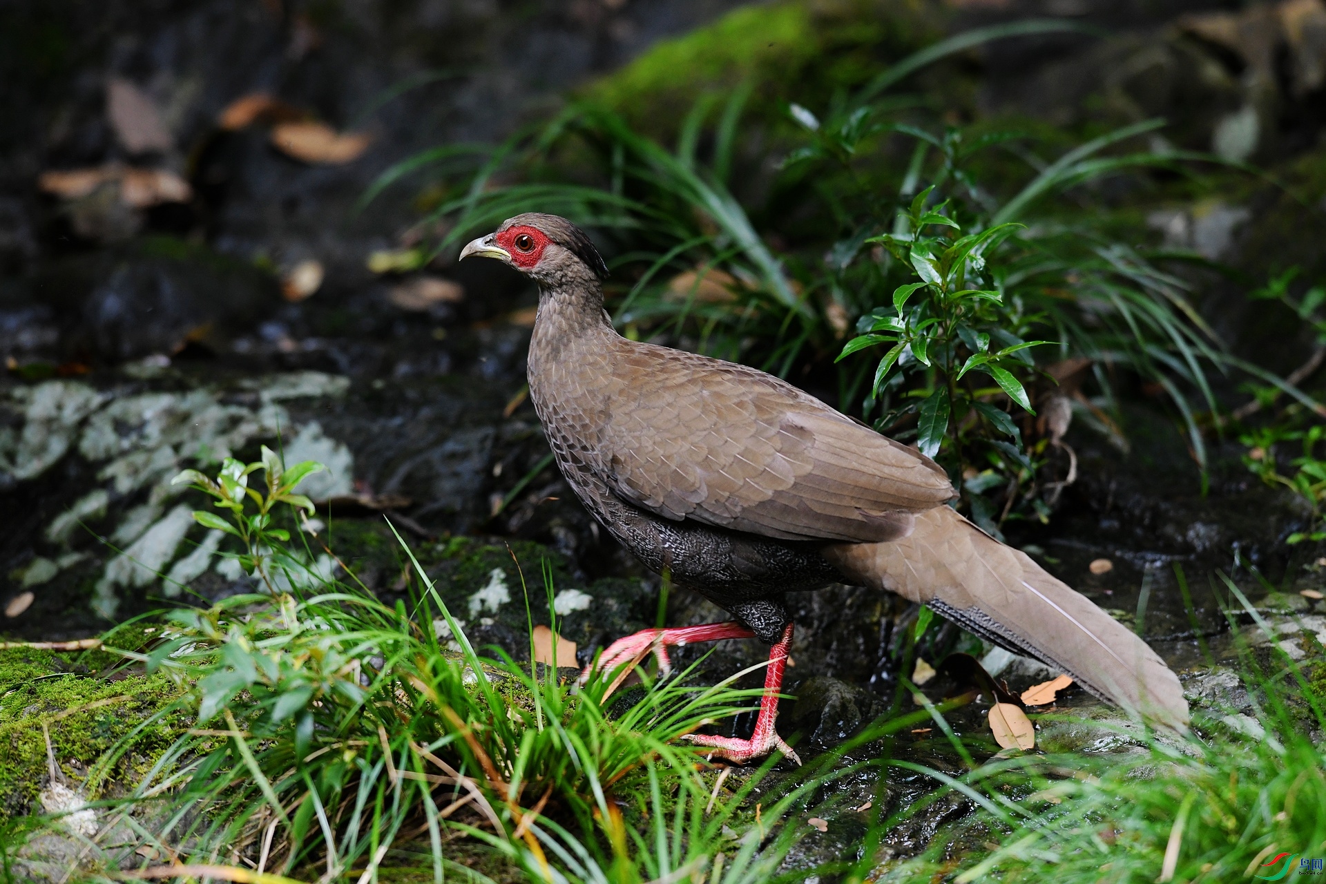 DSC_4064.jpg