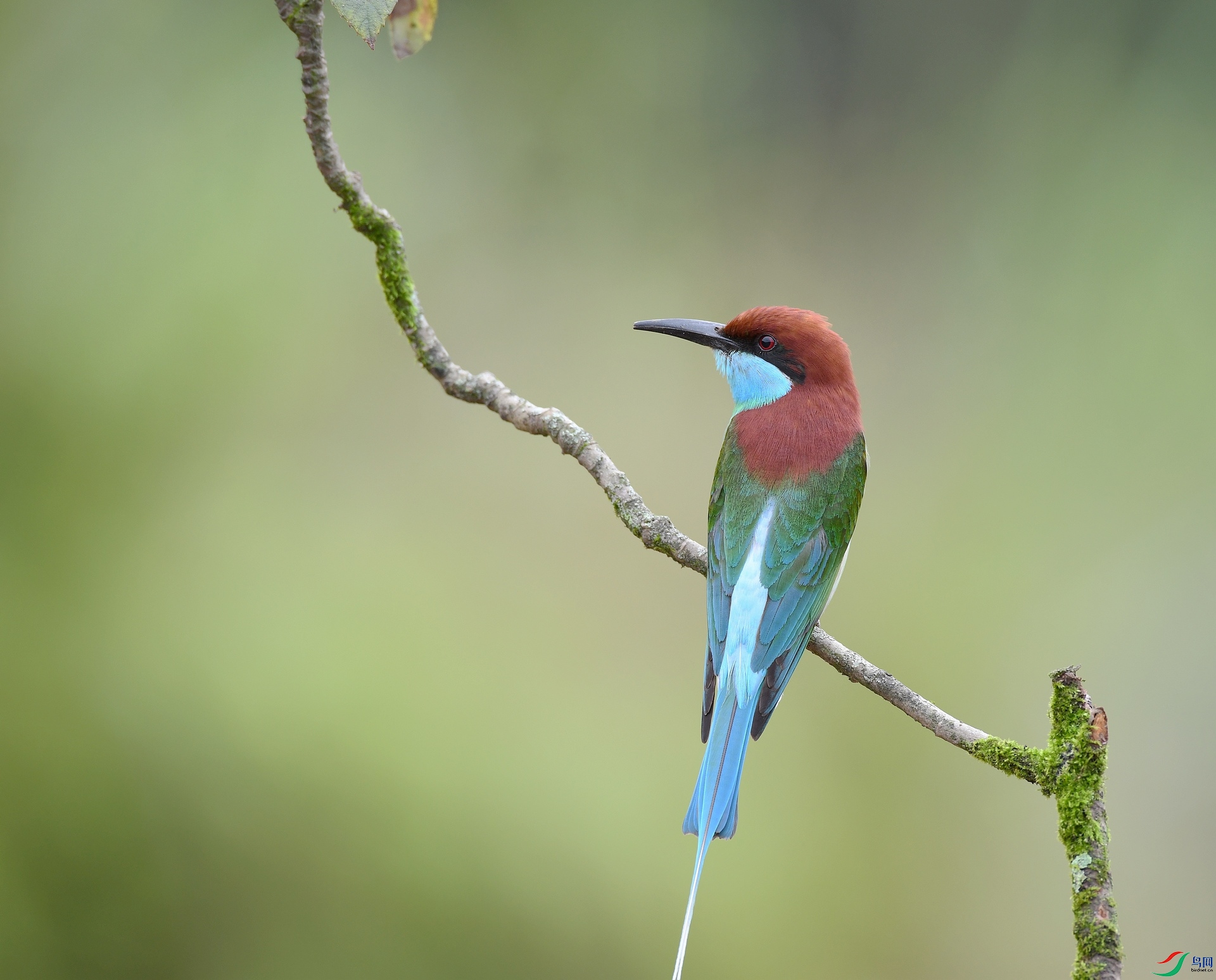 DSC_1109.jpg