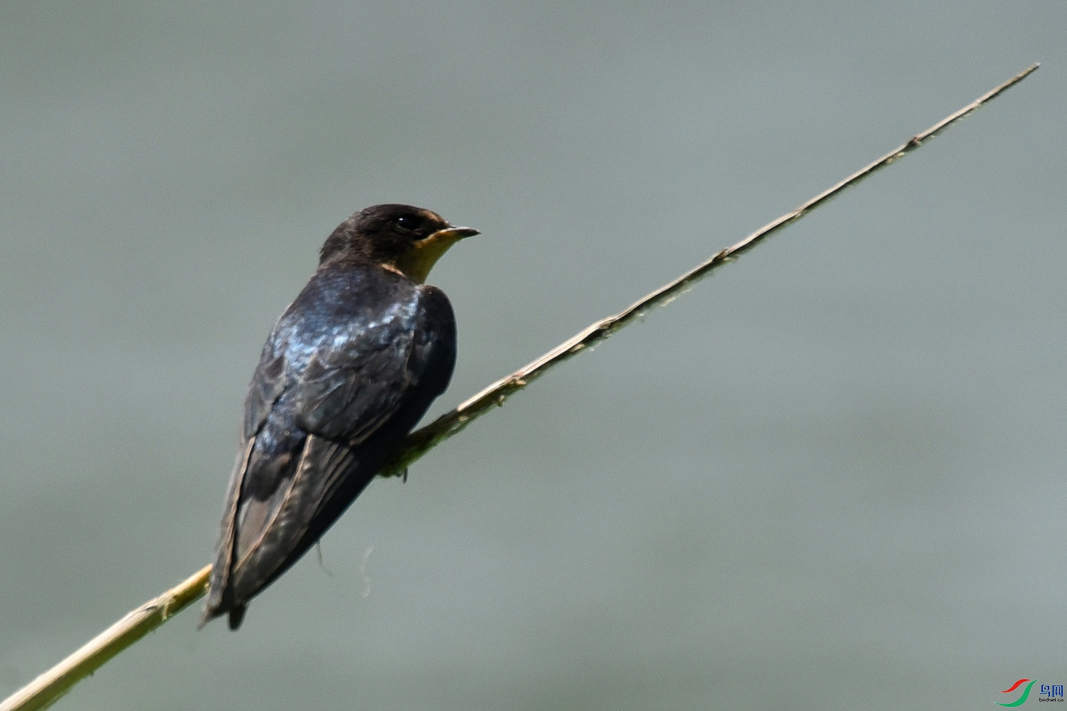 DSC_1561.JPG