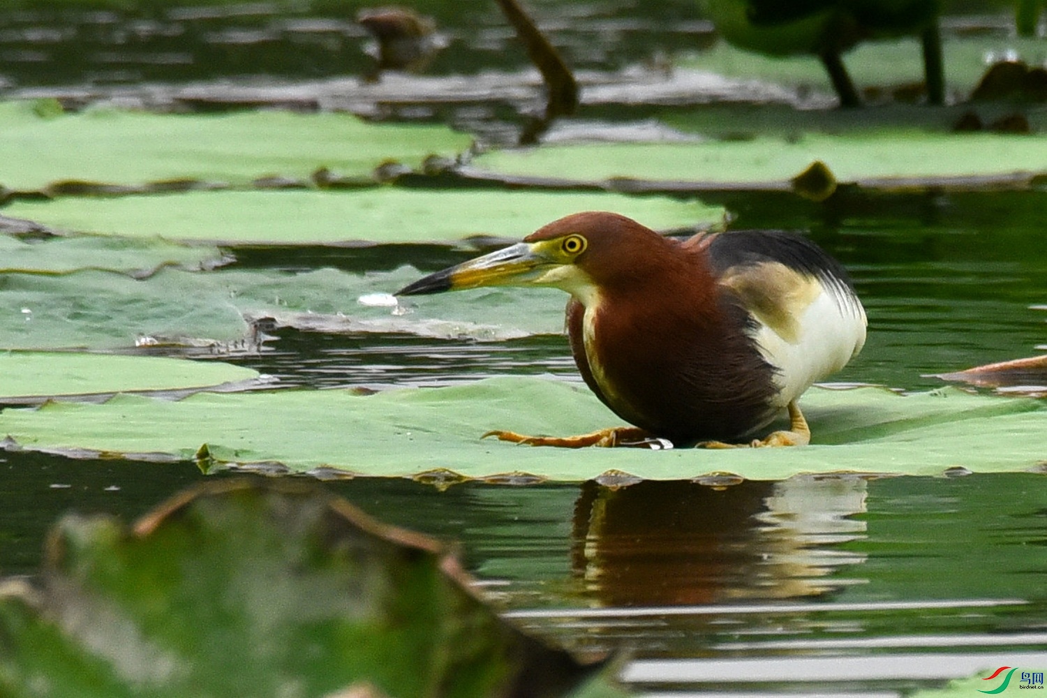 DSC_2080.JPG
