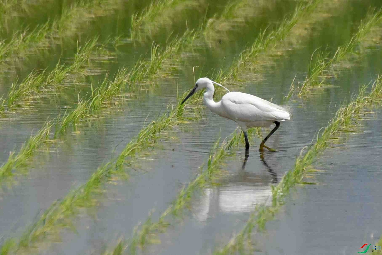 DSC_7996.JPG