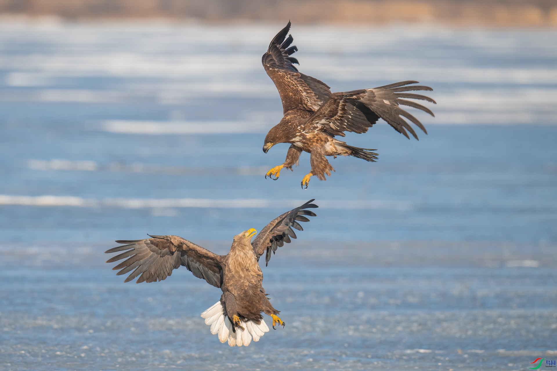 _DSC2384-1xx.jpg
