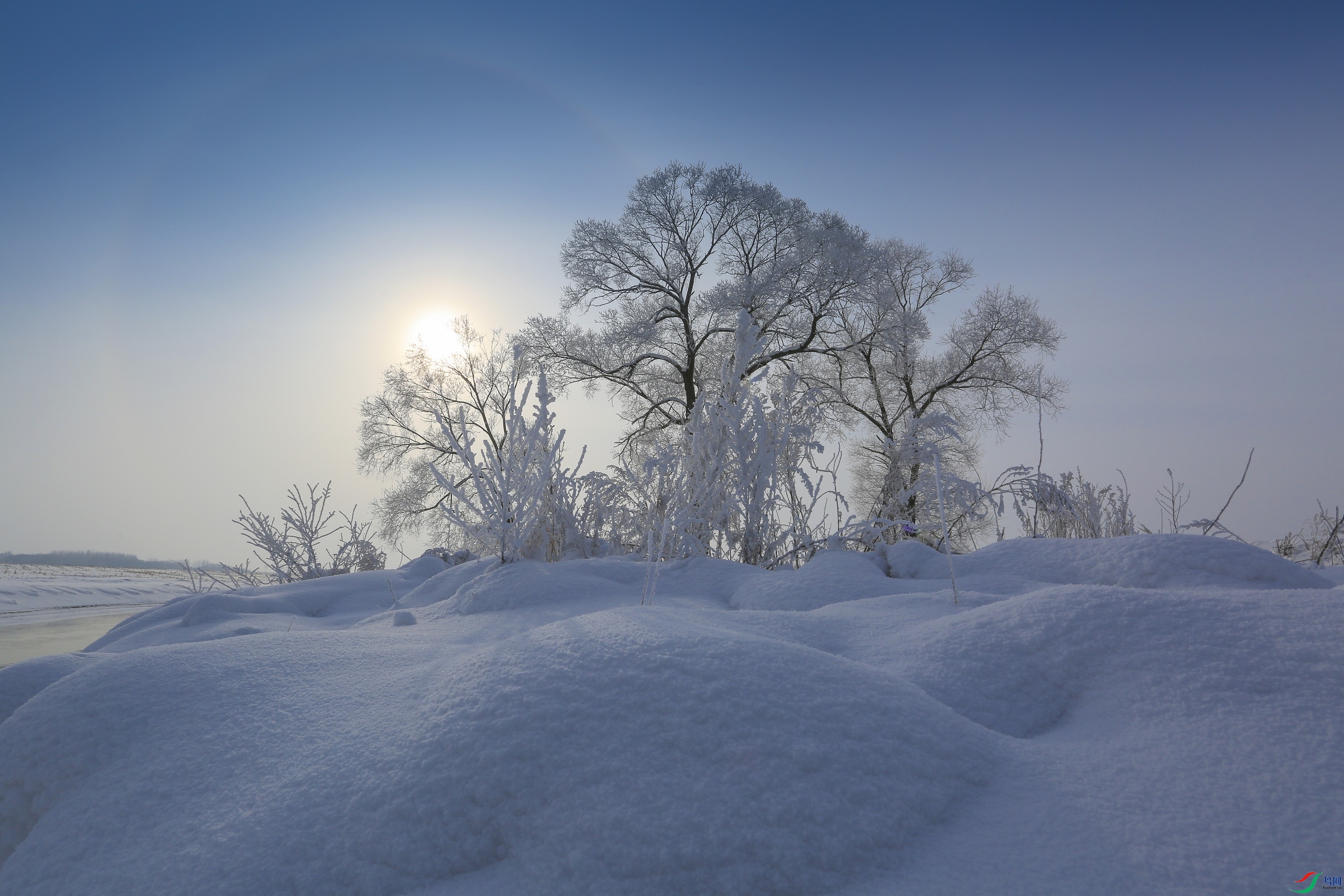 HB2A4794.jpg
