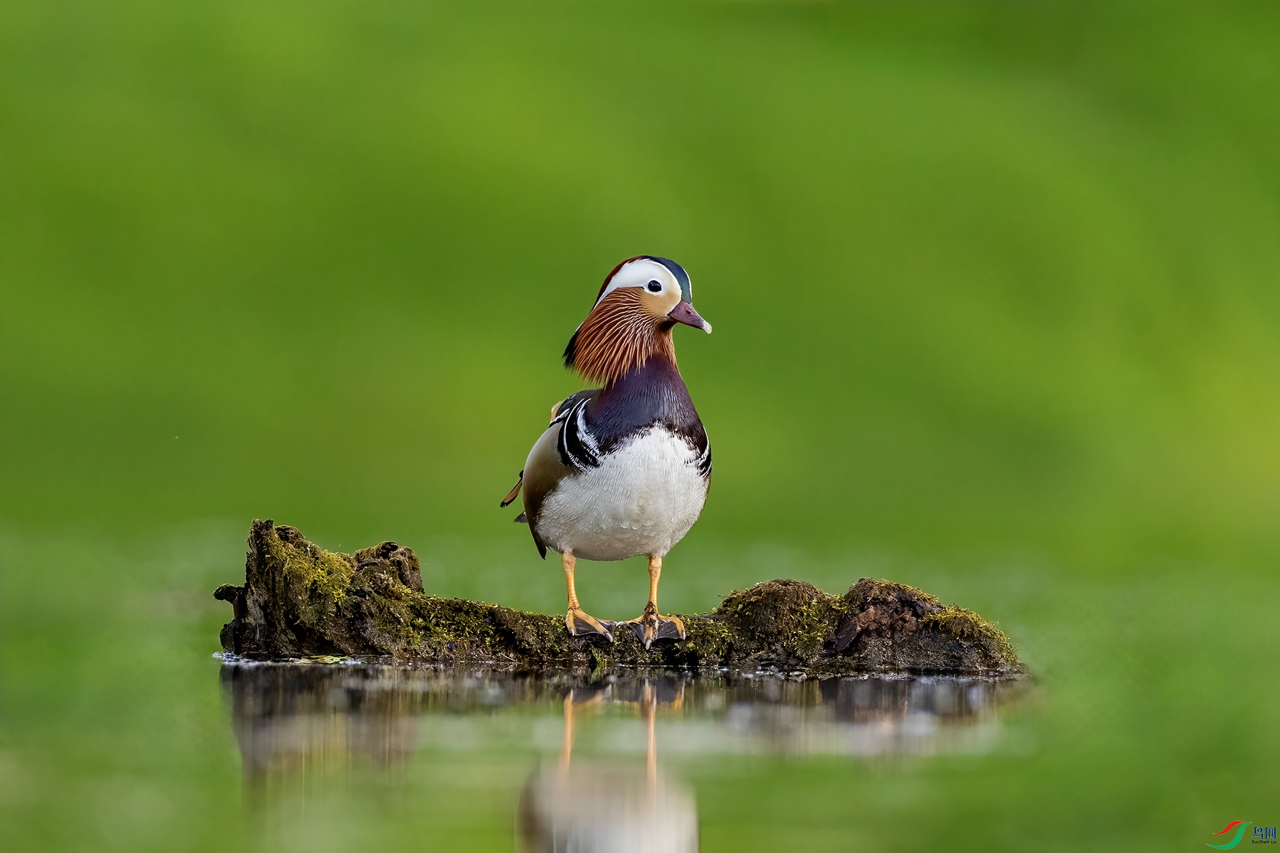 488A0179 ����.jpg