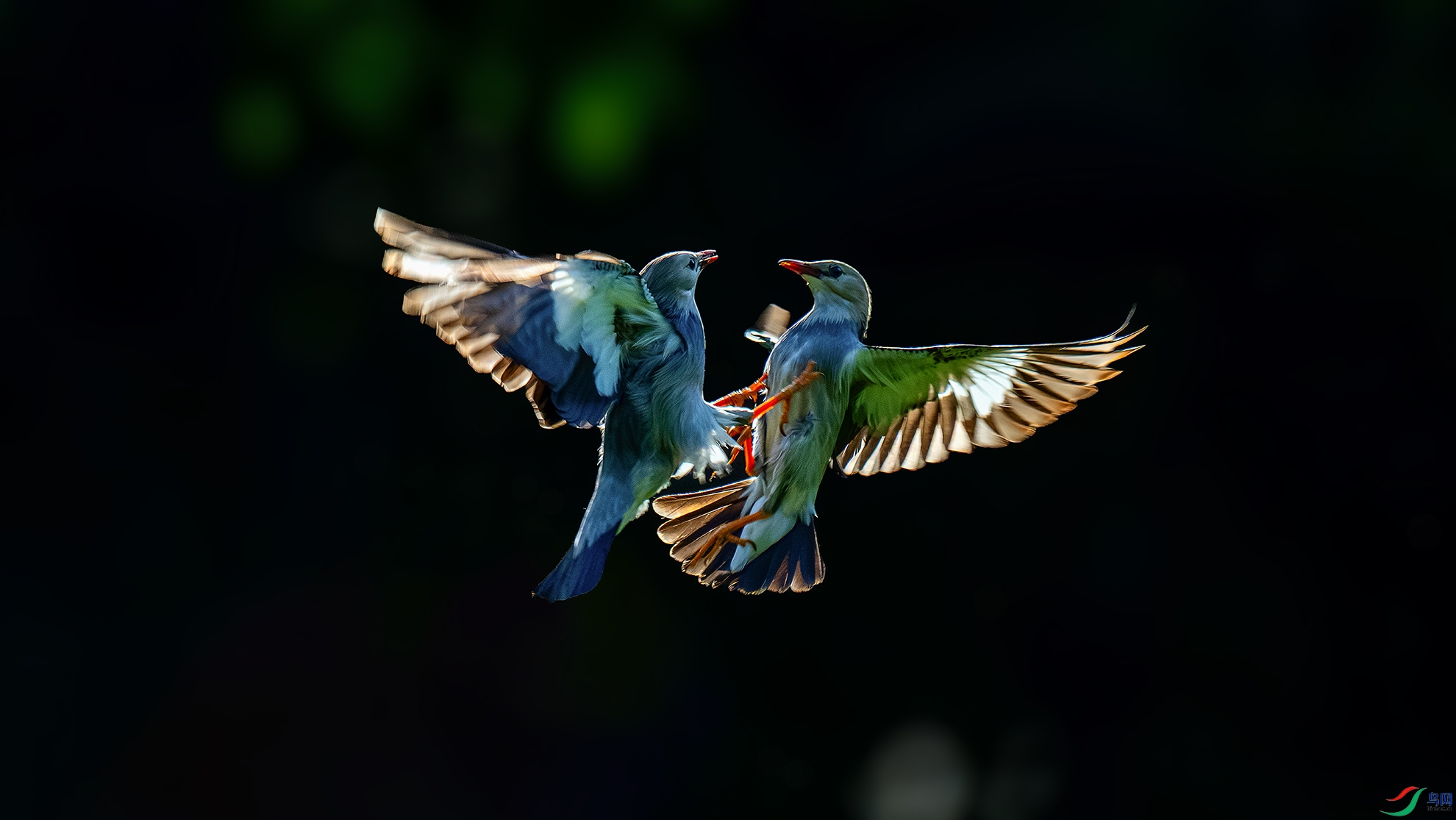DSC09897-2a.jpg