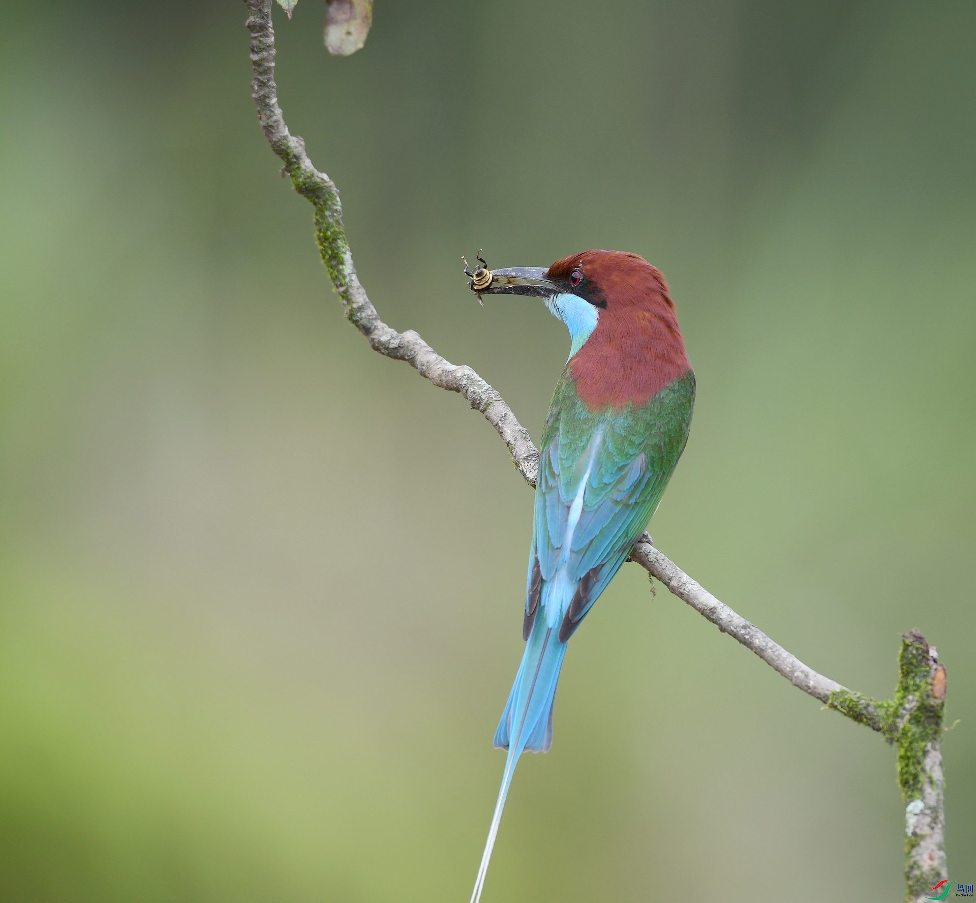 DSC_4530.jpg