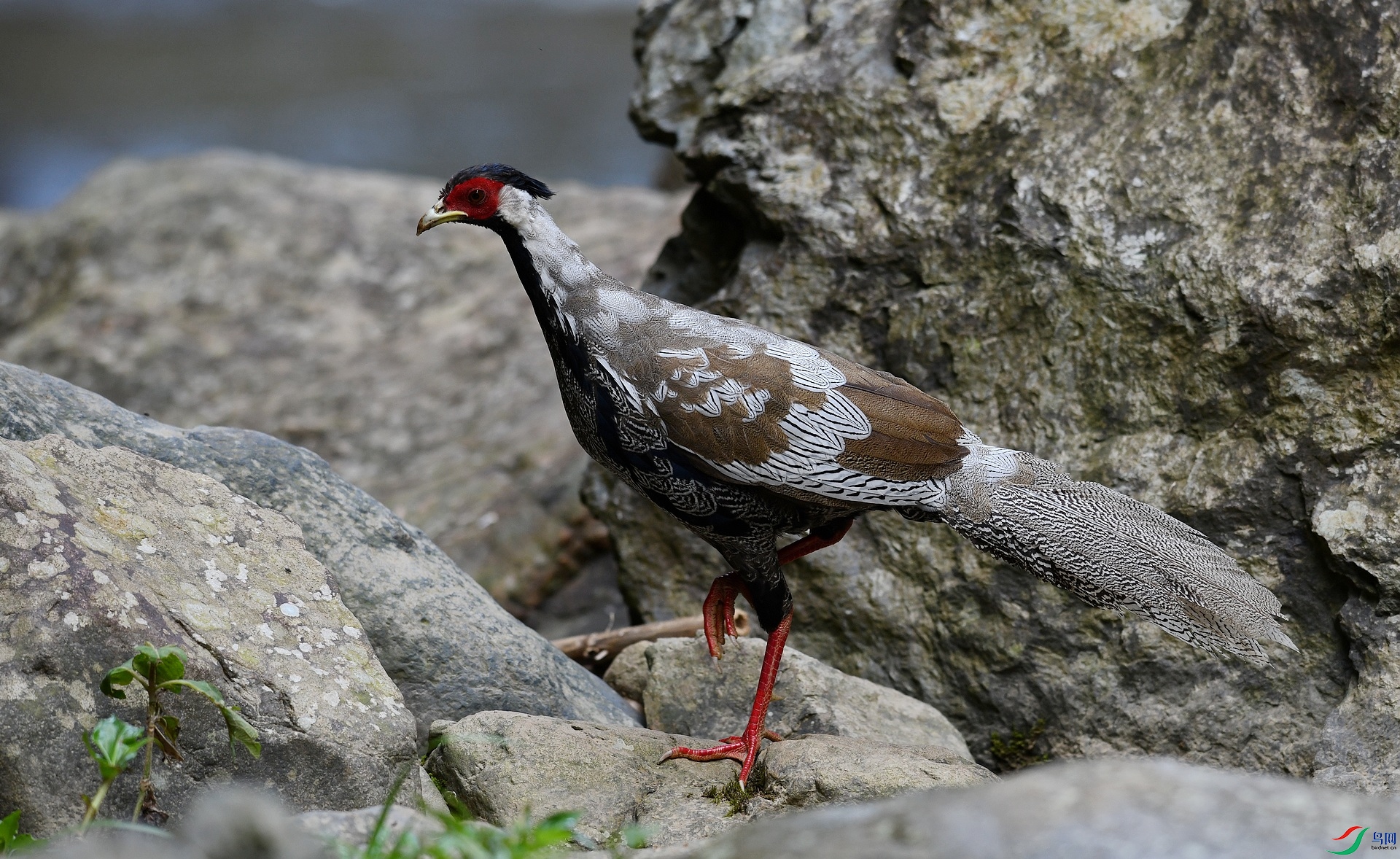 DSC_4324.jpg