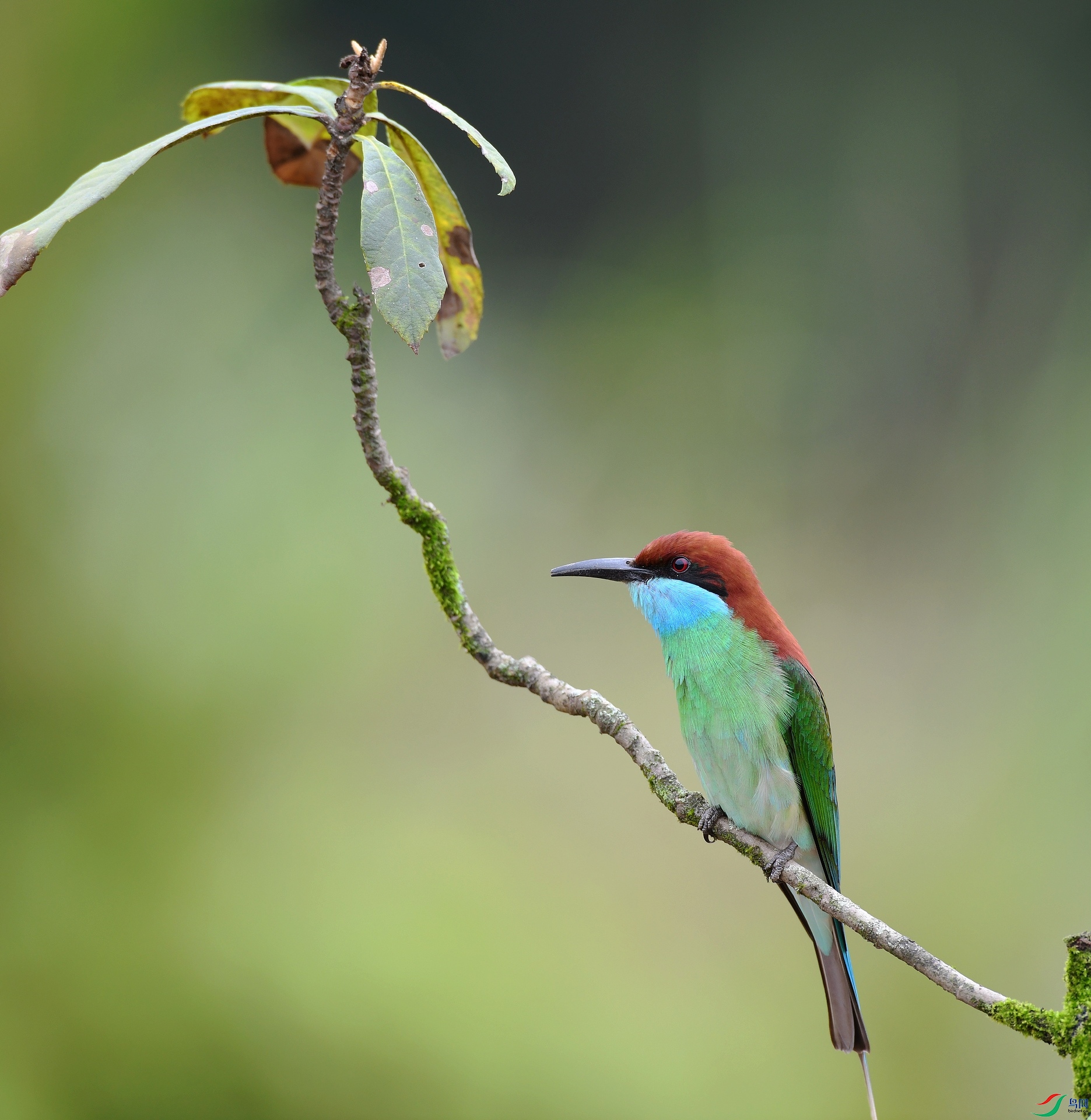 DSC_1106.jpg