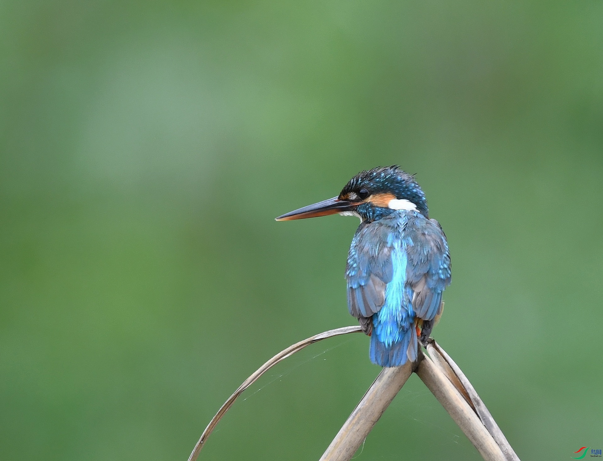 DSC_1105.jpg