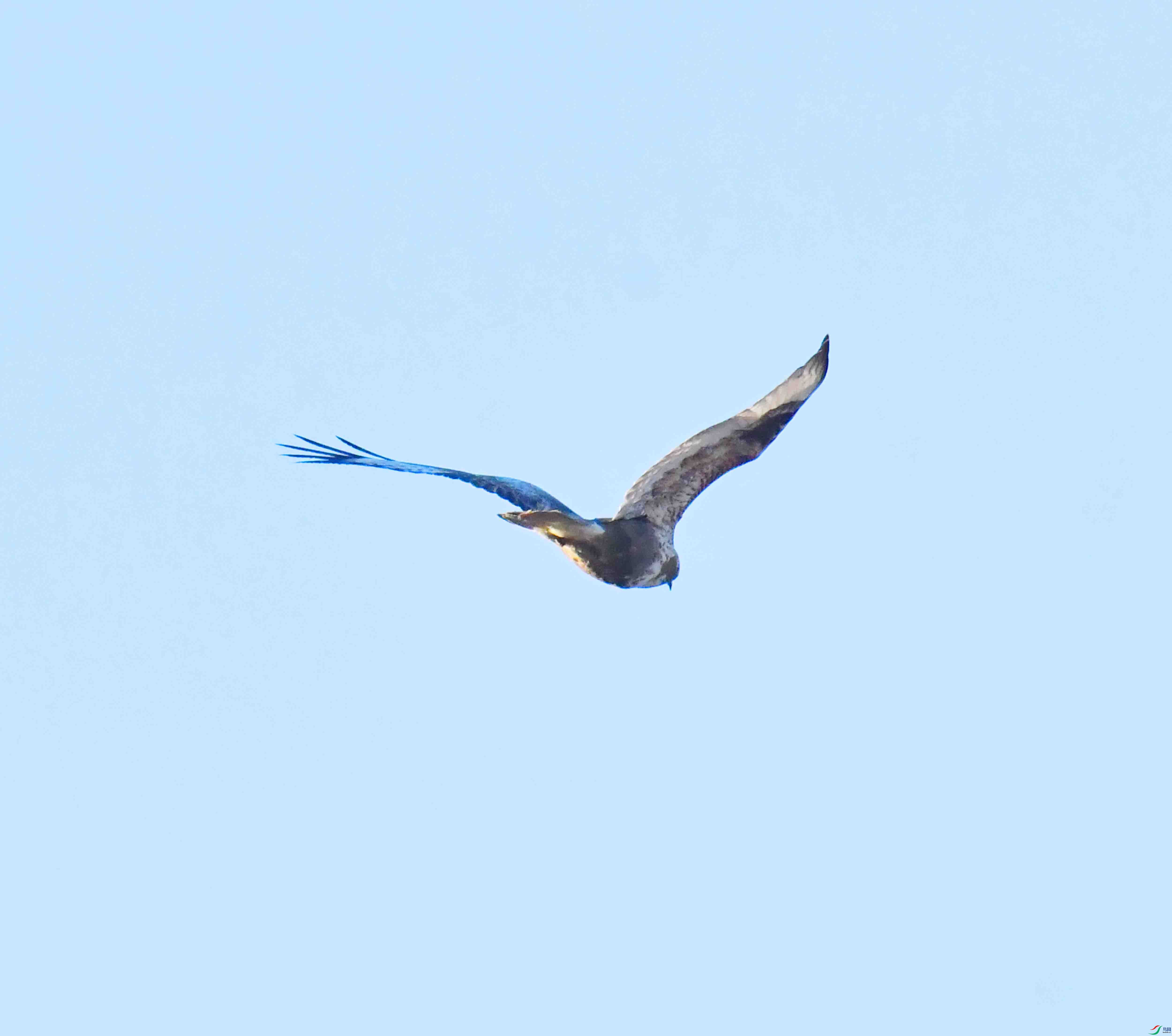 DSC_0276.JPG