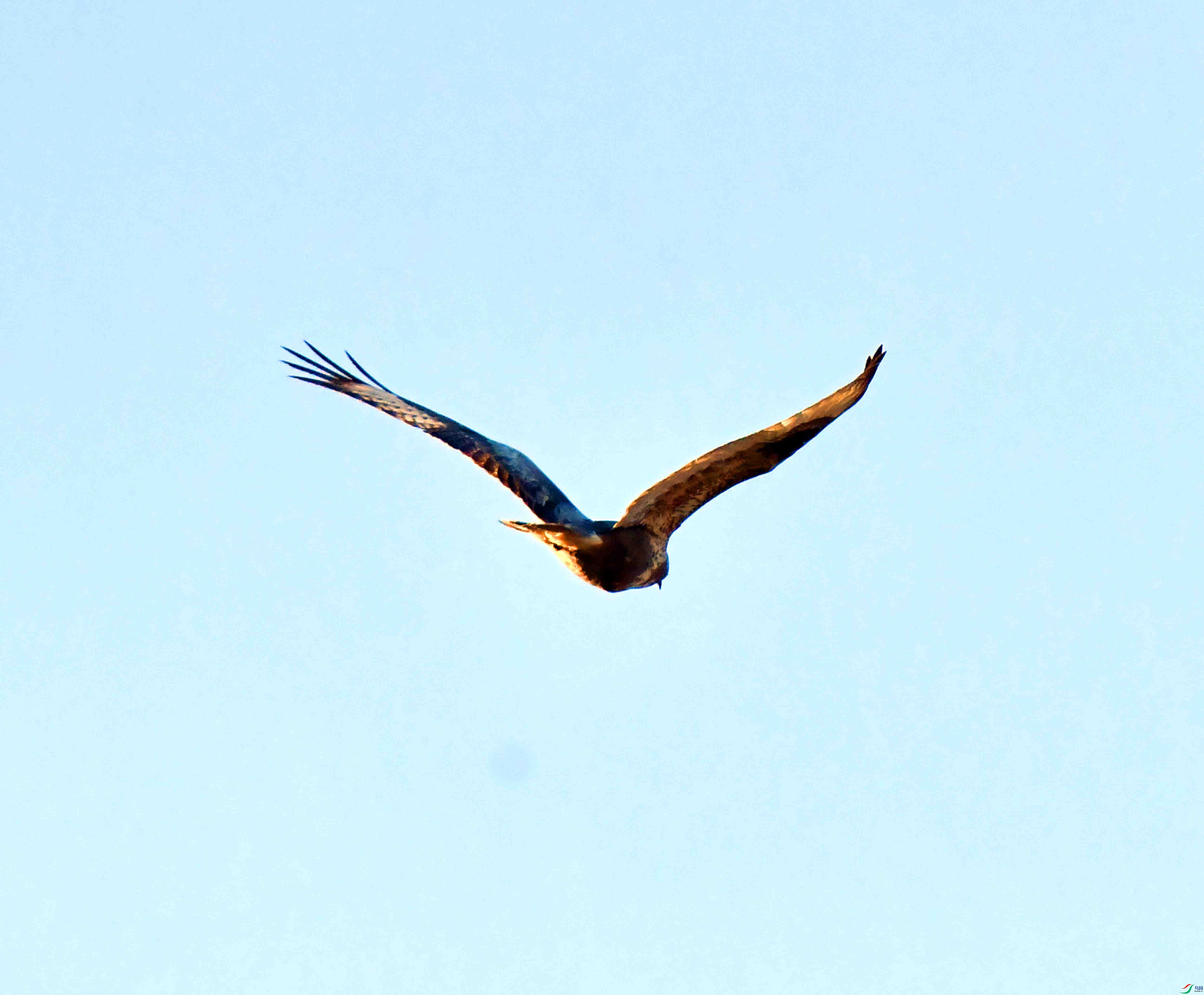 DSC_0275.JPG
