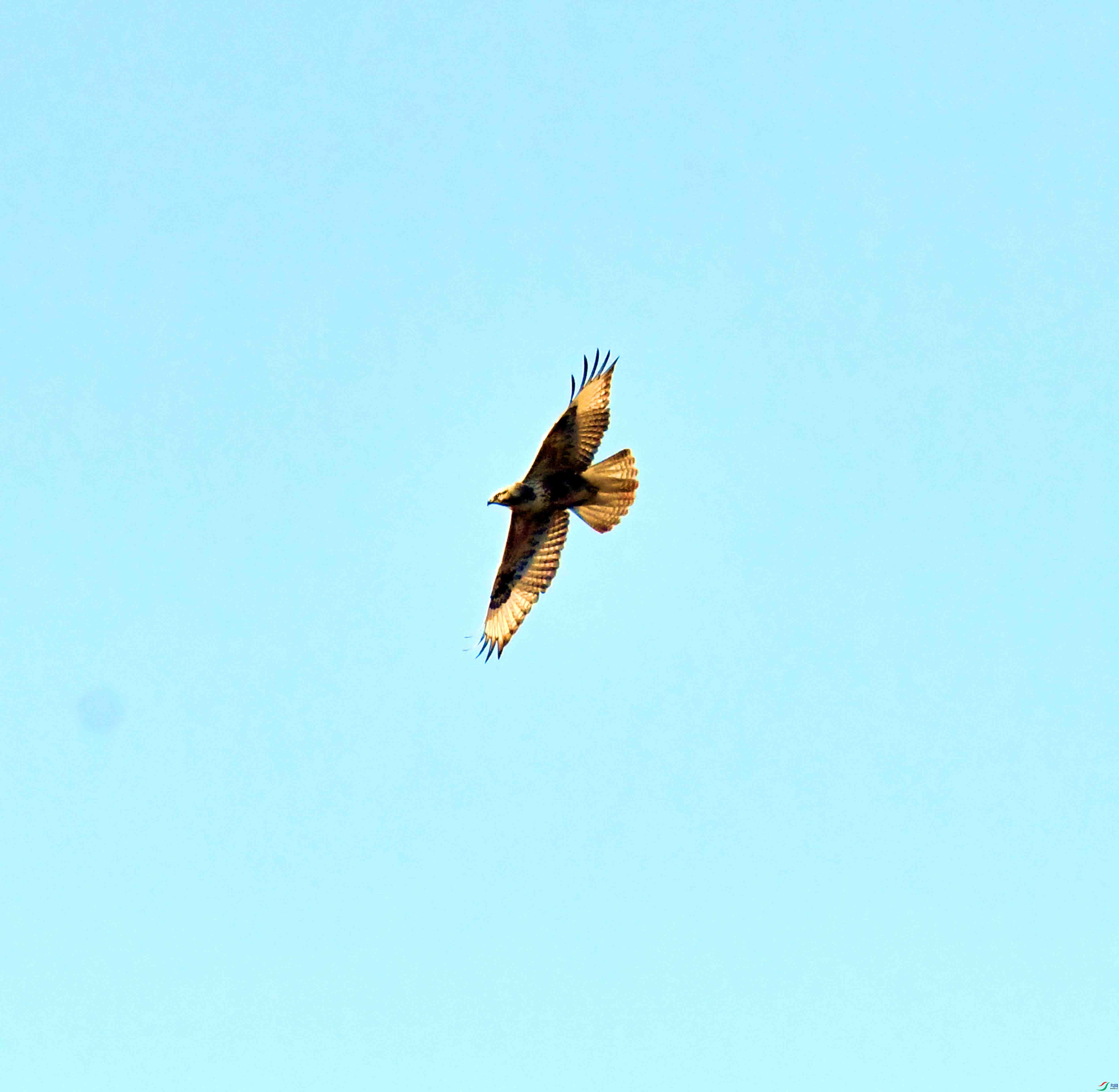 DSC_0333.JPG