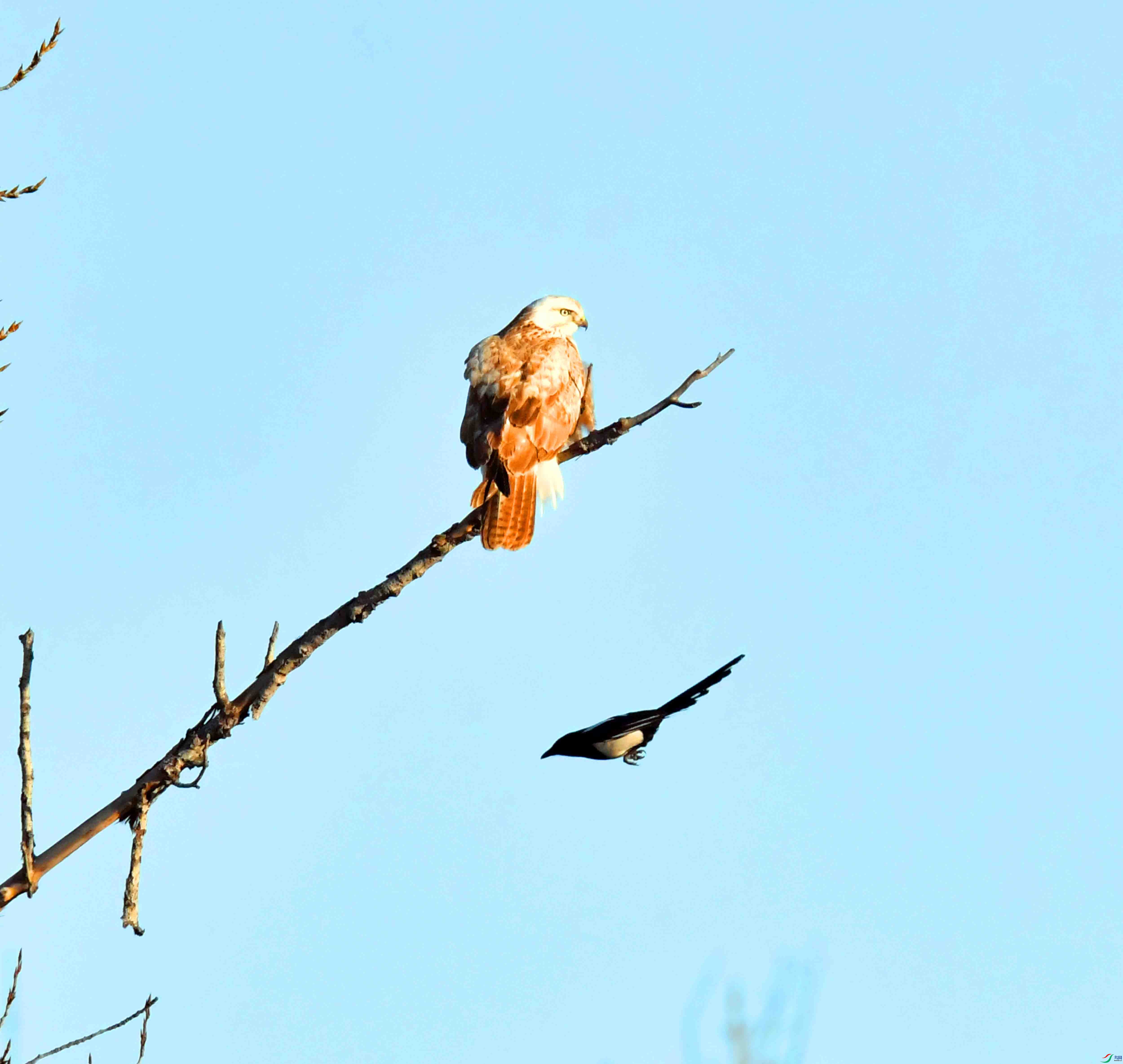 DSC_0362.JPG