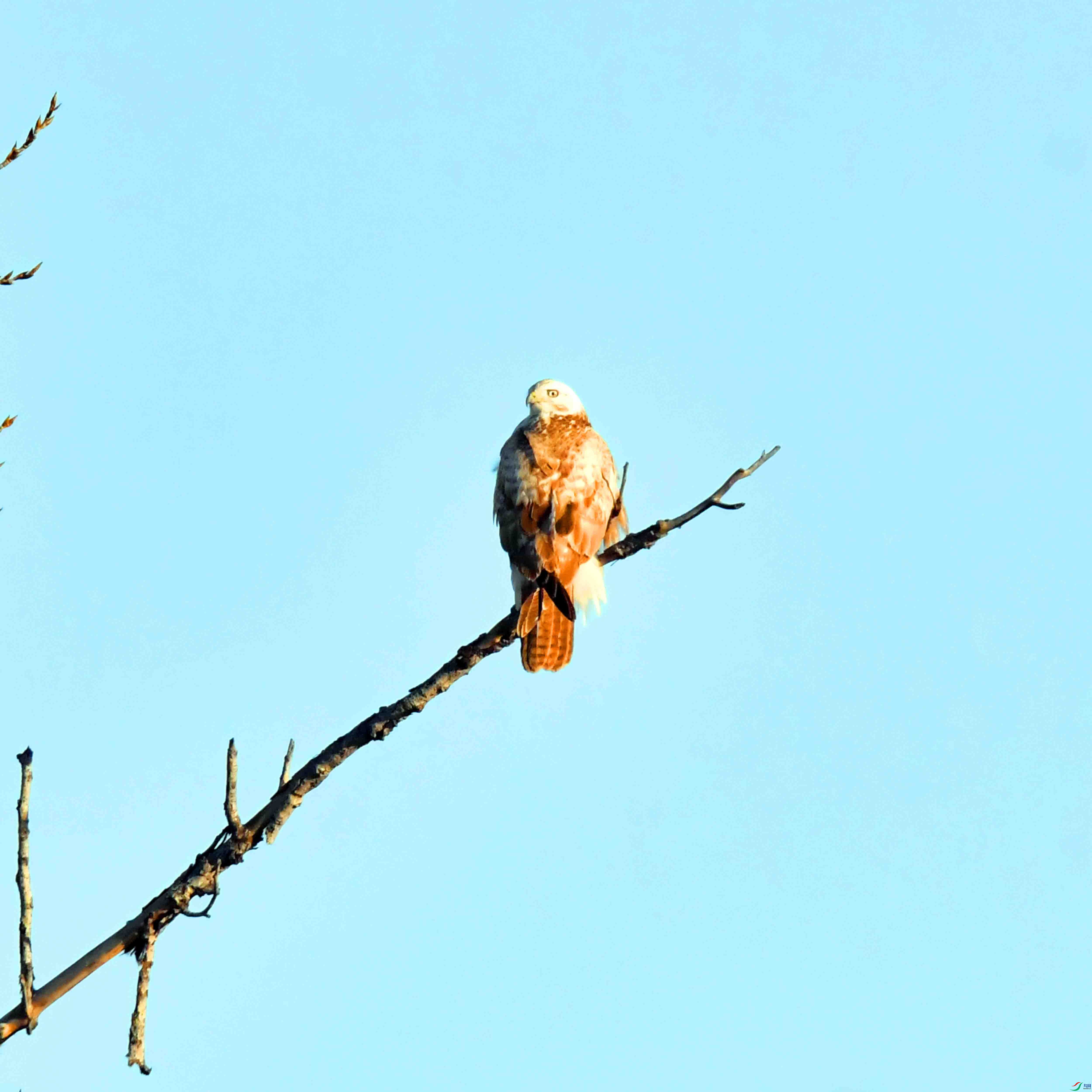 DSC_0367.JPG