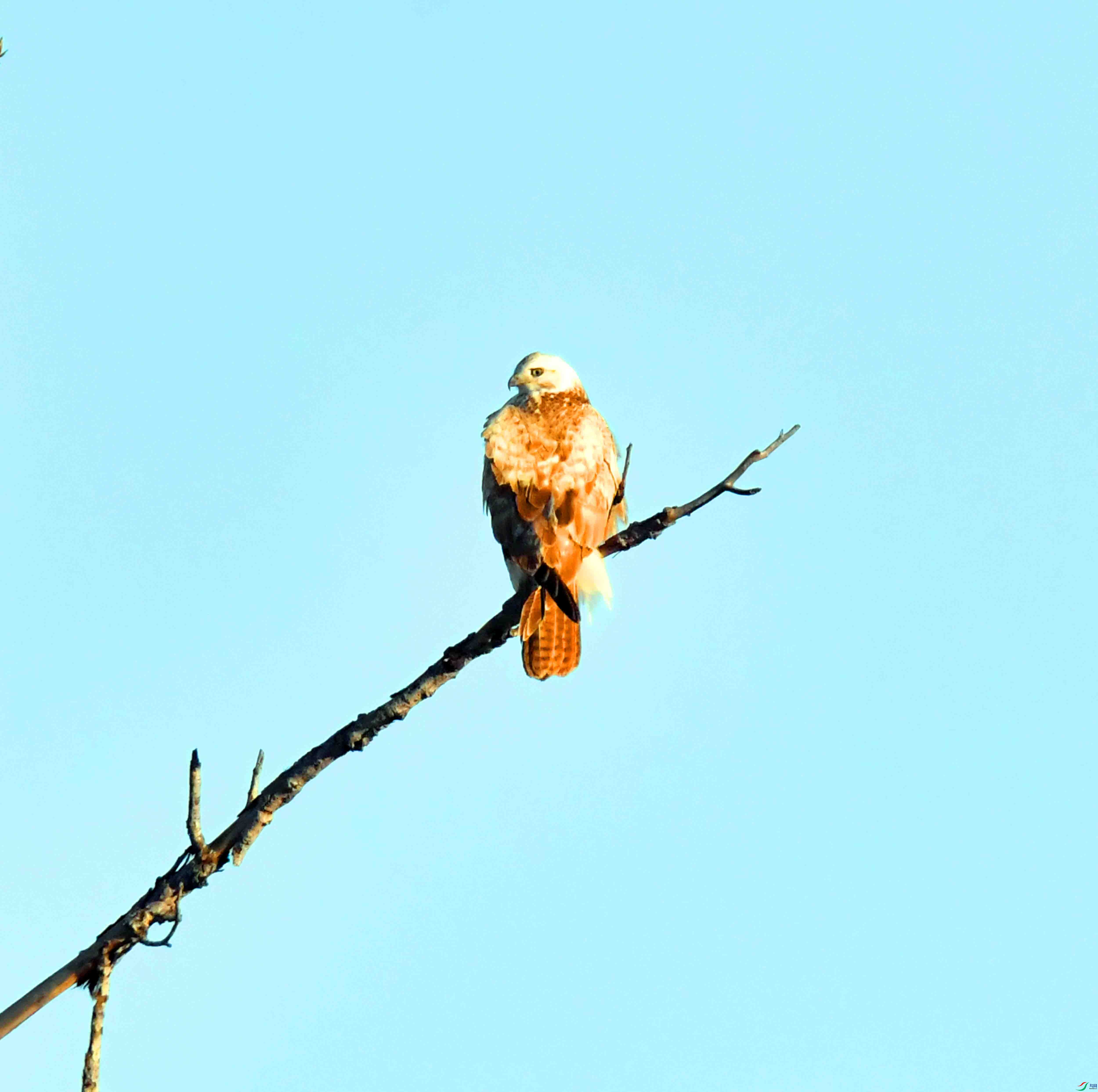 DSC_0372.JPG
