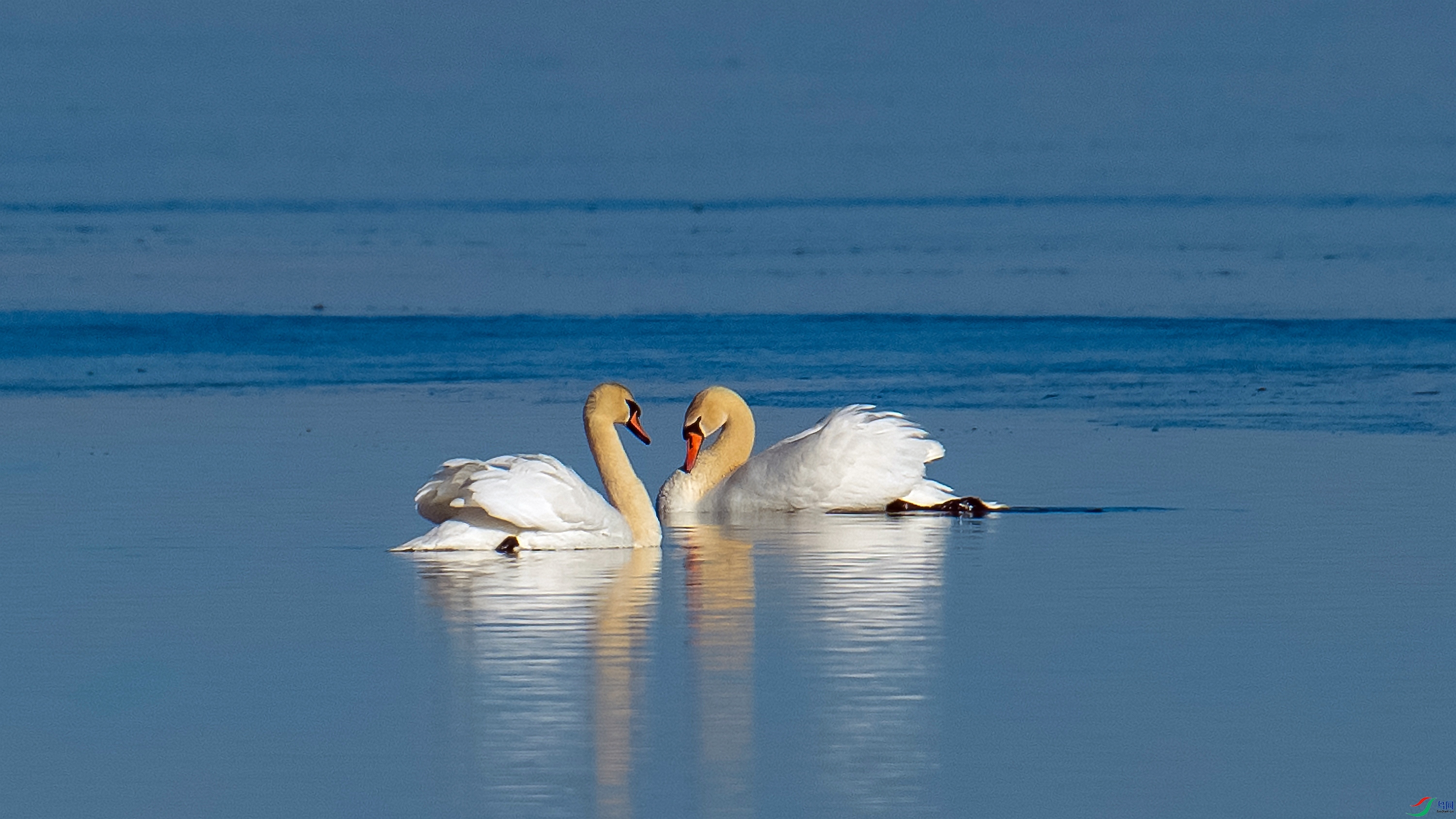 YJY_8802 ����.jpg