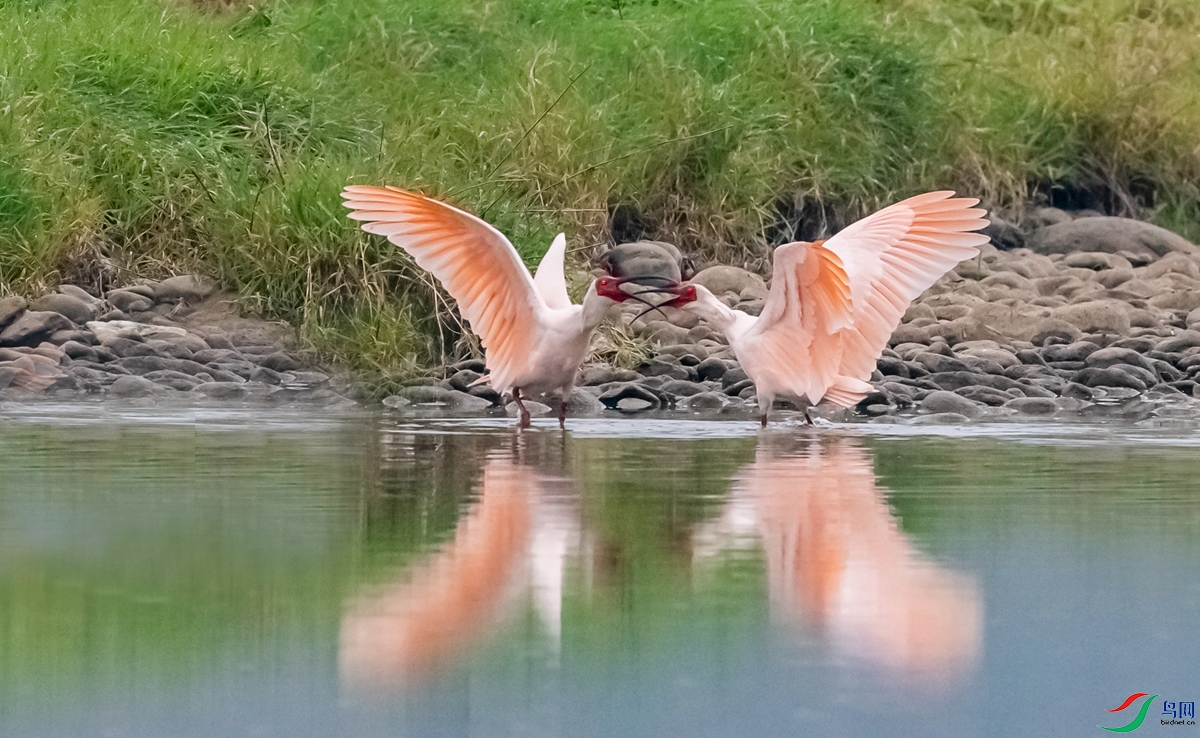 DSC_6902.jpg