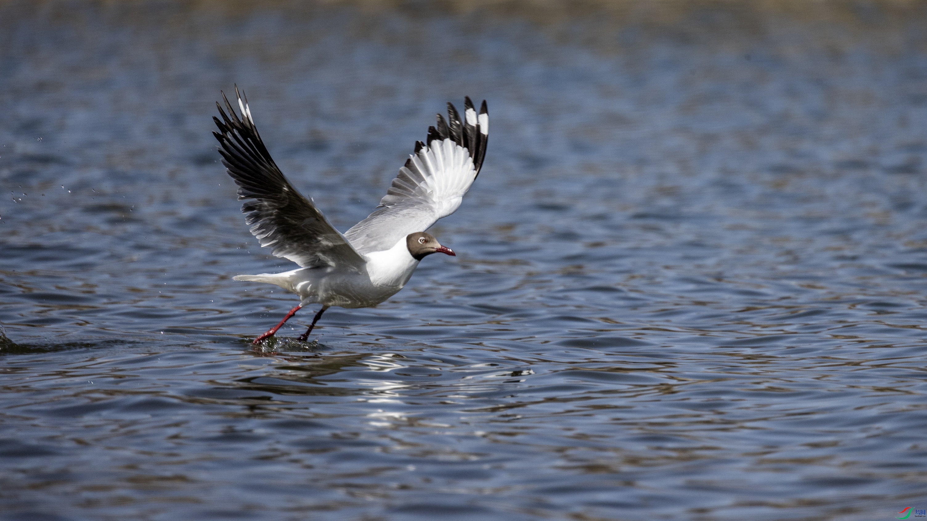 7X5A2759 ��4444.jpg