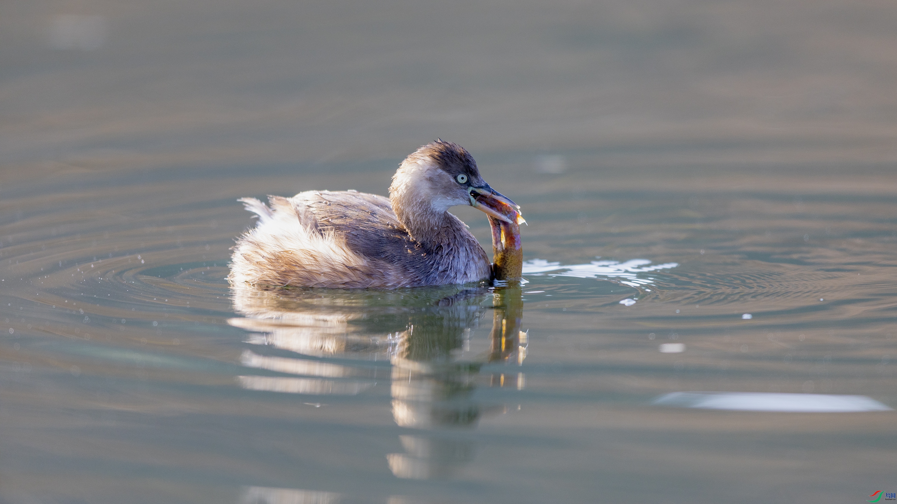 _O7A5810 ����3333.jpg