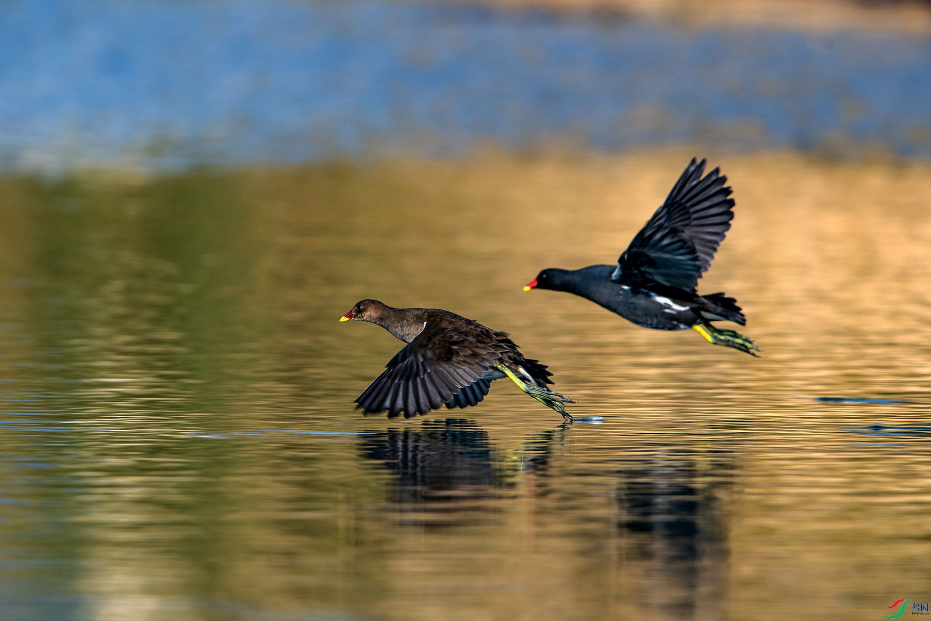 _AUU3903��ˮ��(25.1.7).jpg