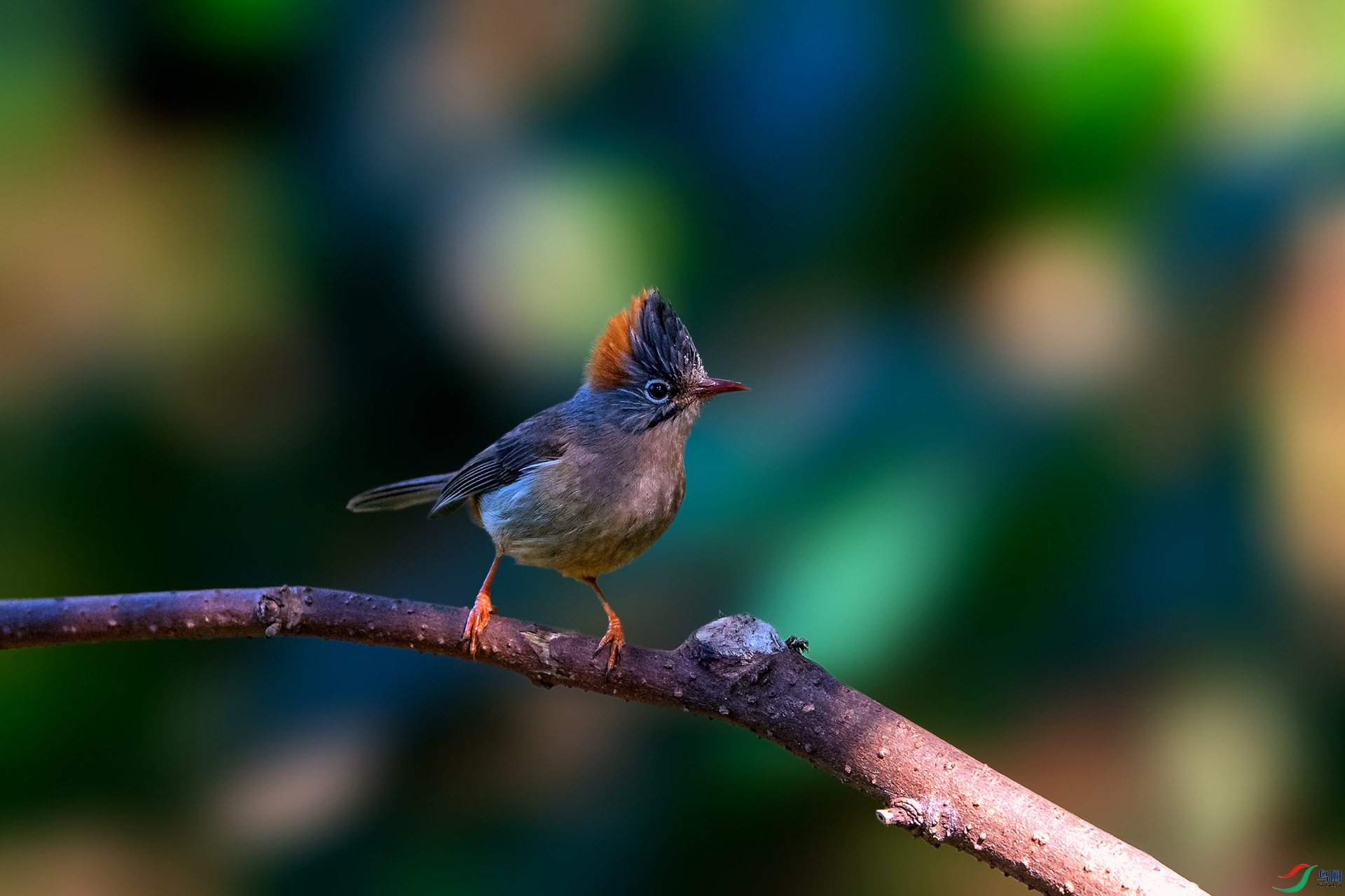 _AUU4160���η���(24.2.17).jpg