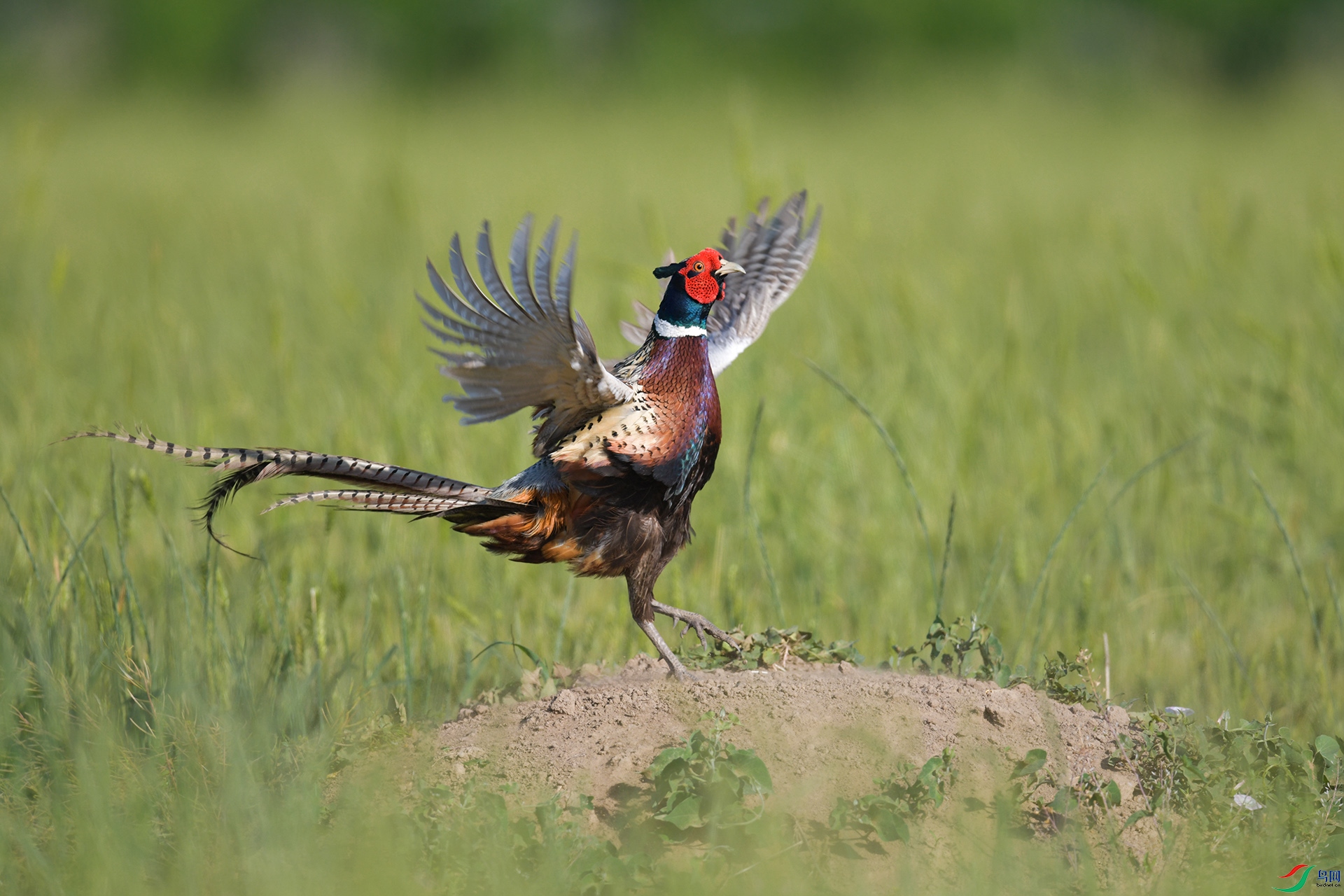 XQD_7221 ����.jpg