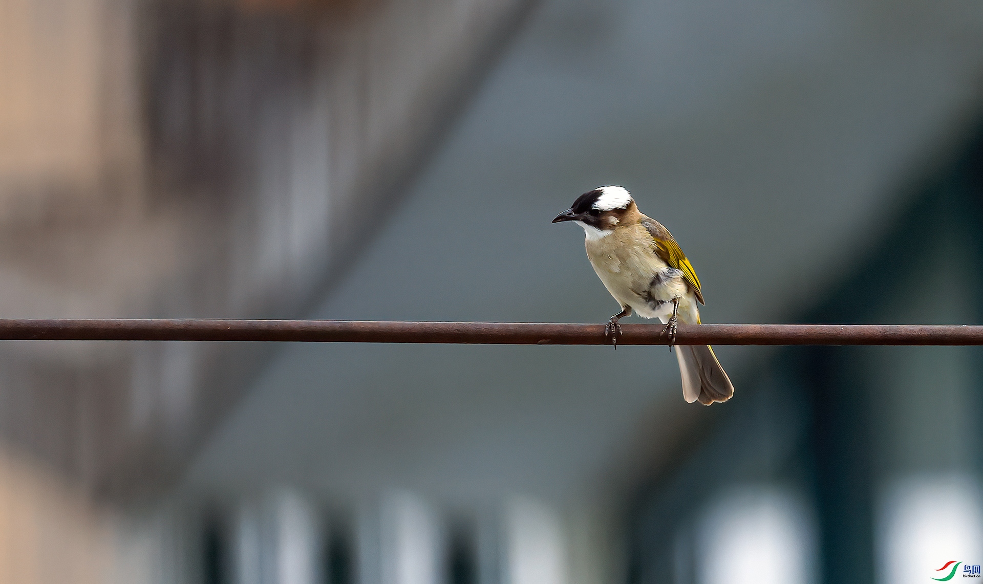 0C2A7765 ���� 2.jpg