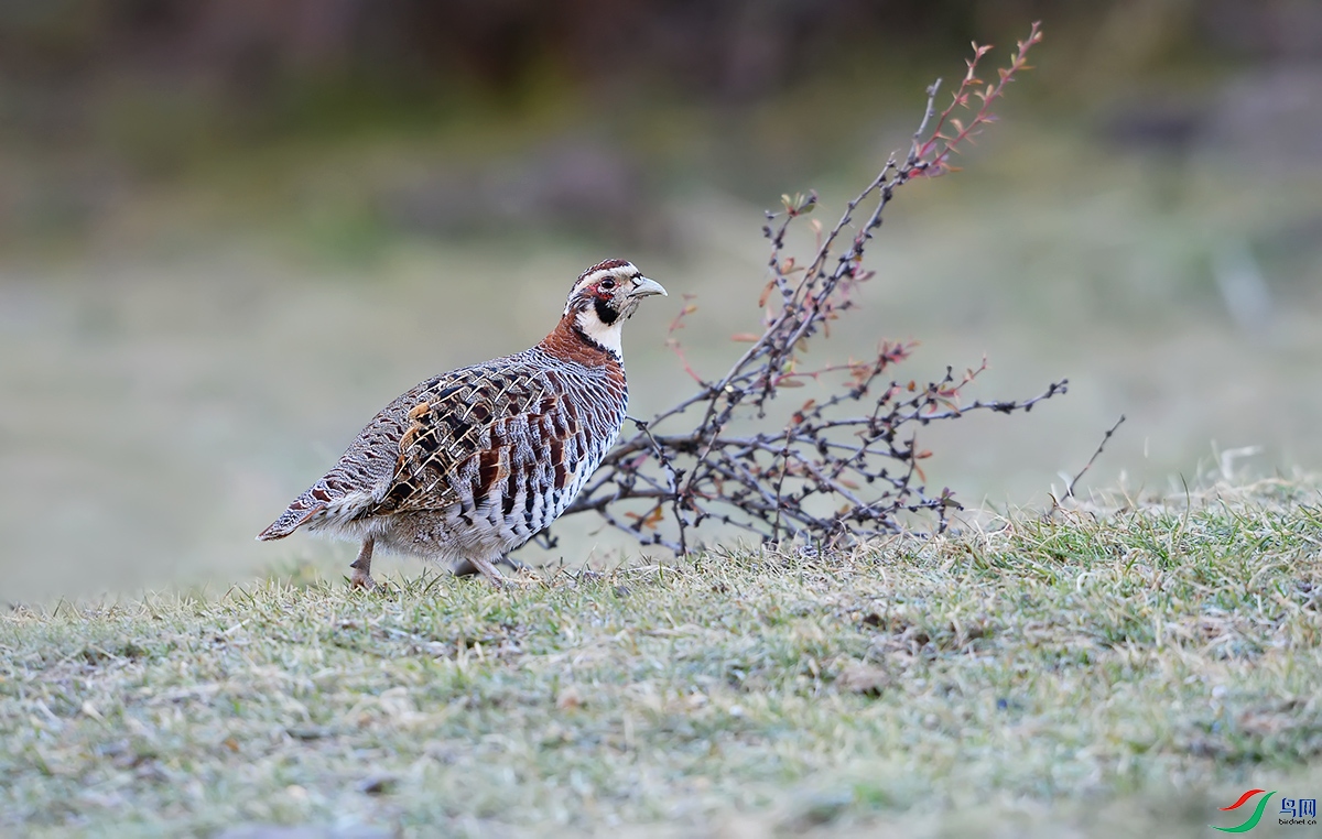 �׸���1 (1727)1.jpg